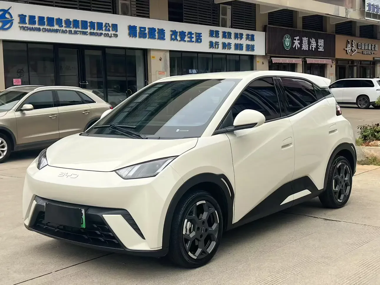 BYD seagull