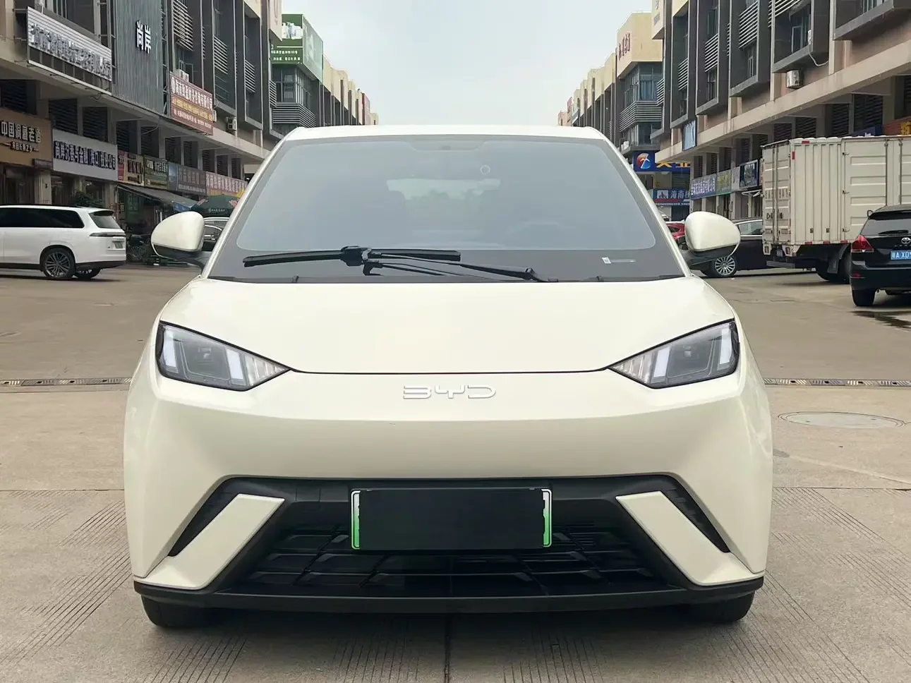BYD seagull