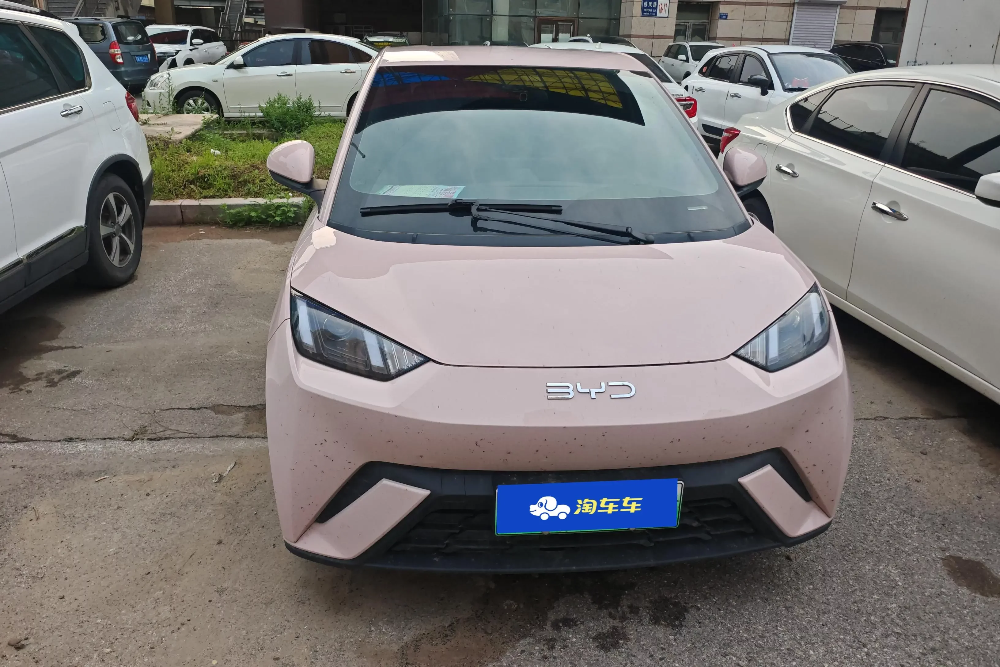 BYD seagull