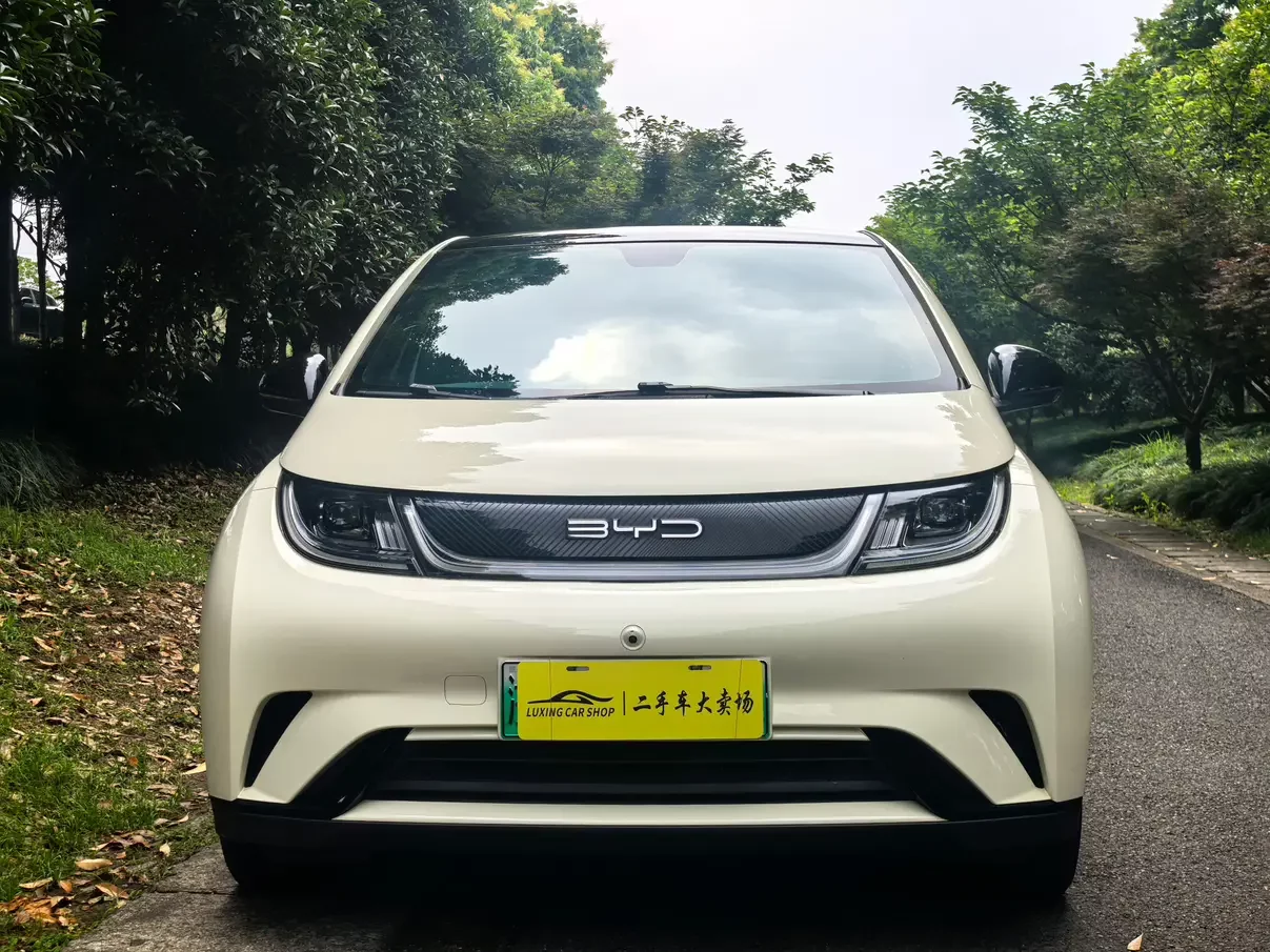 BYD dolphin