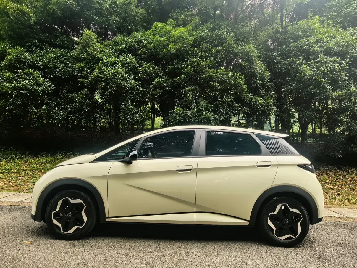 BYD dolphin