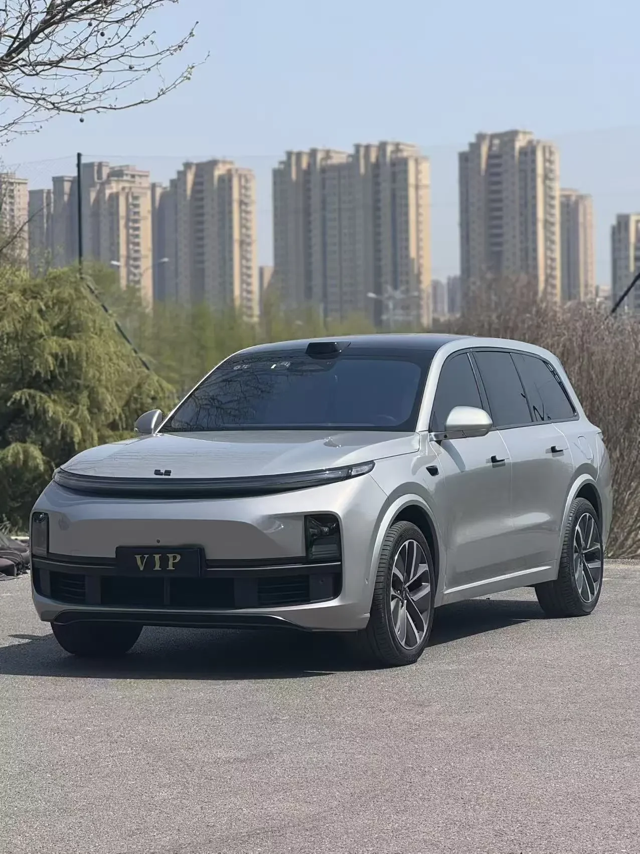 Lixiang L9