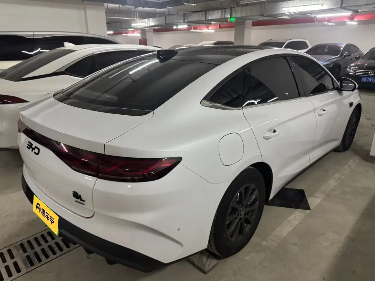 BYD Qin L DM