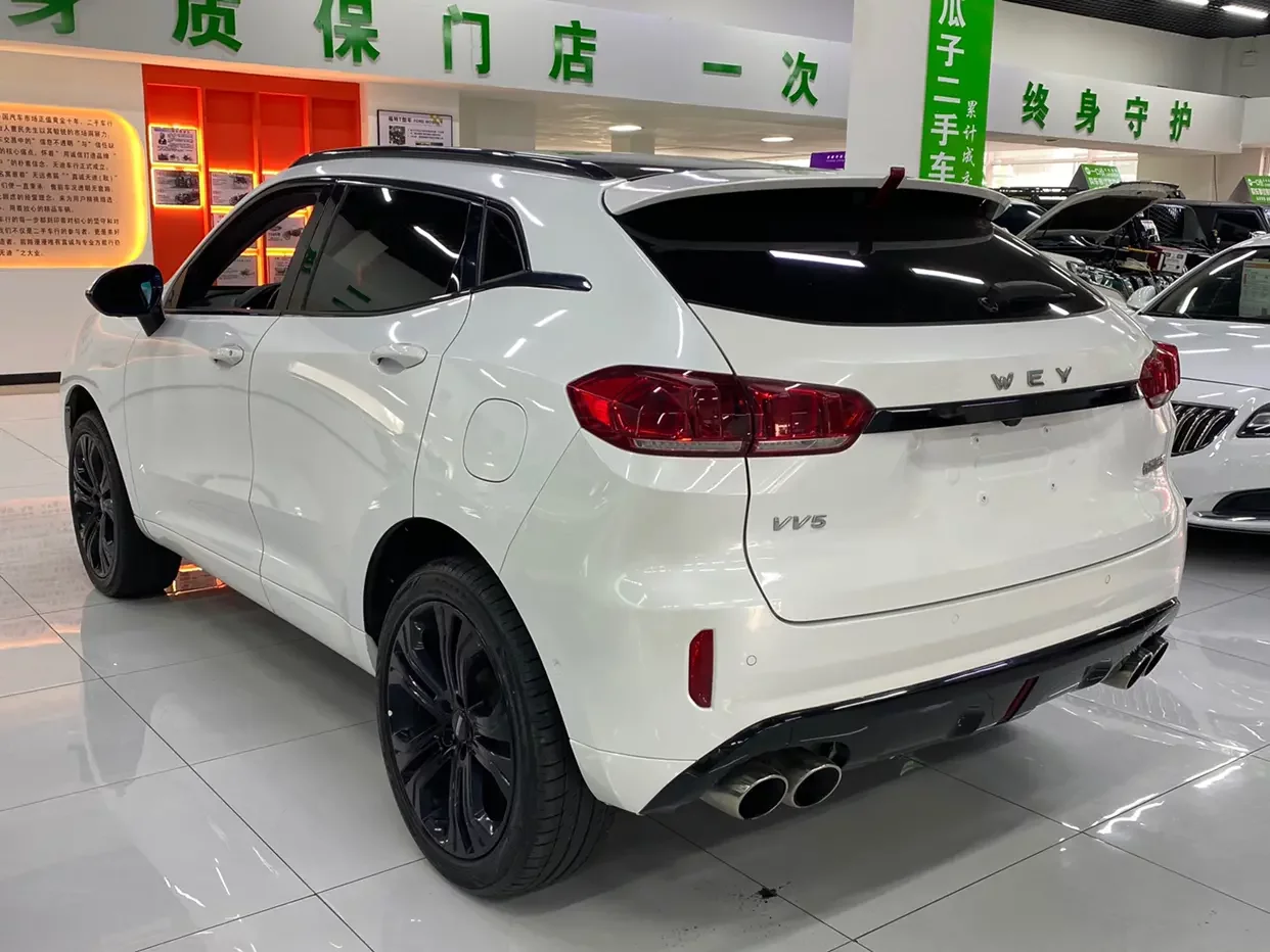 Wey Wei brand VV5