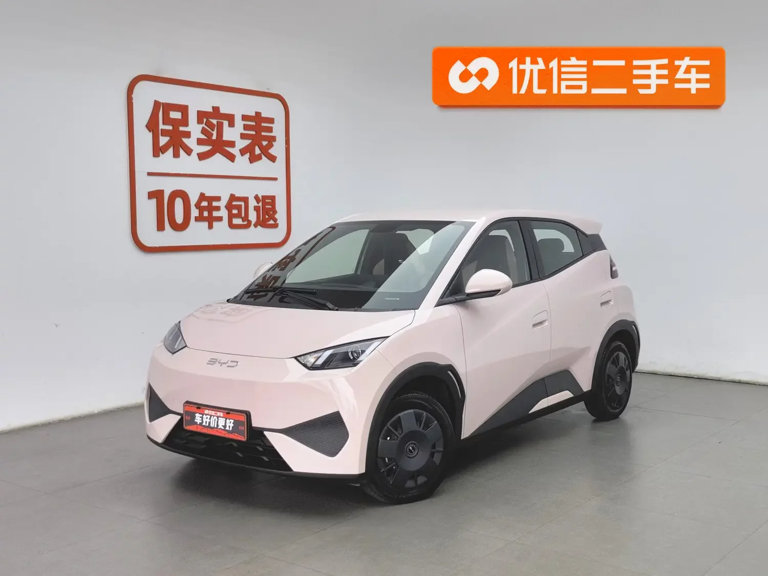 BYD seagull