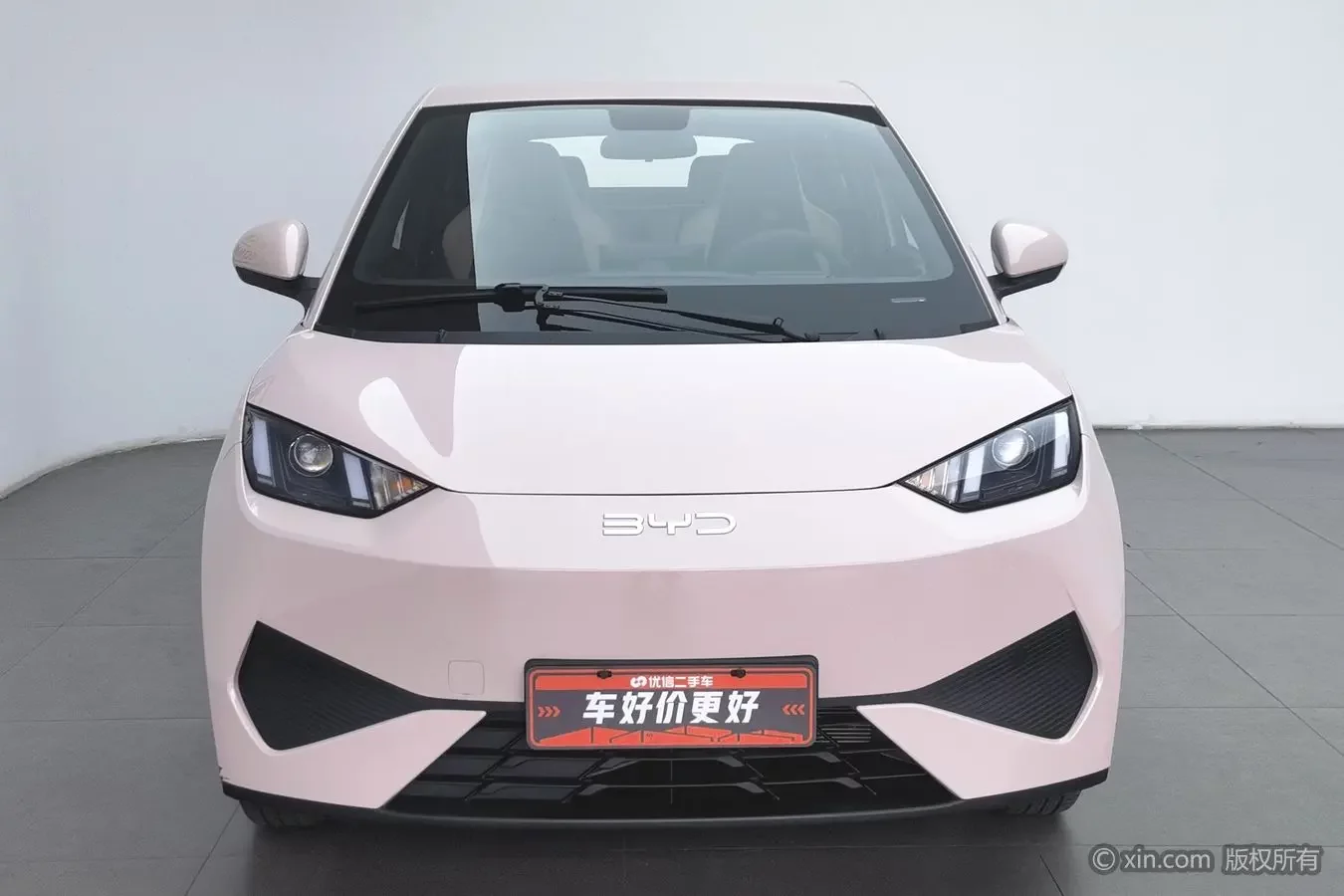 BYD seagull