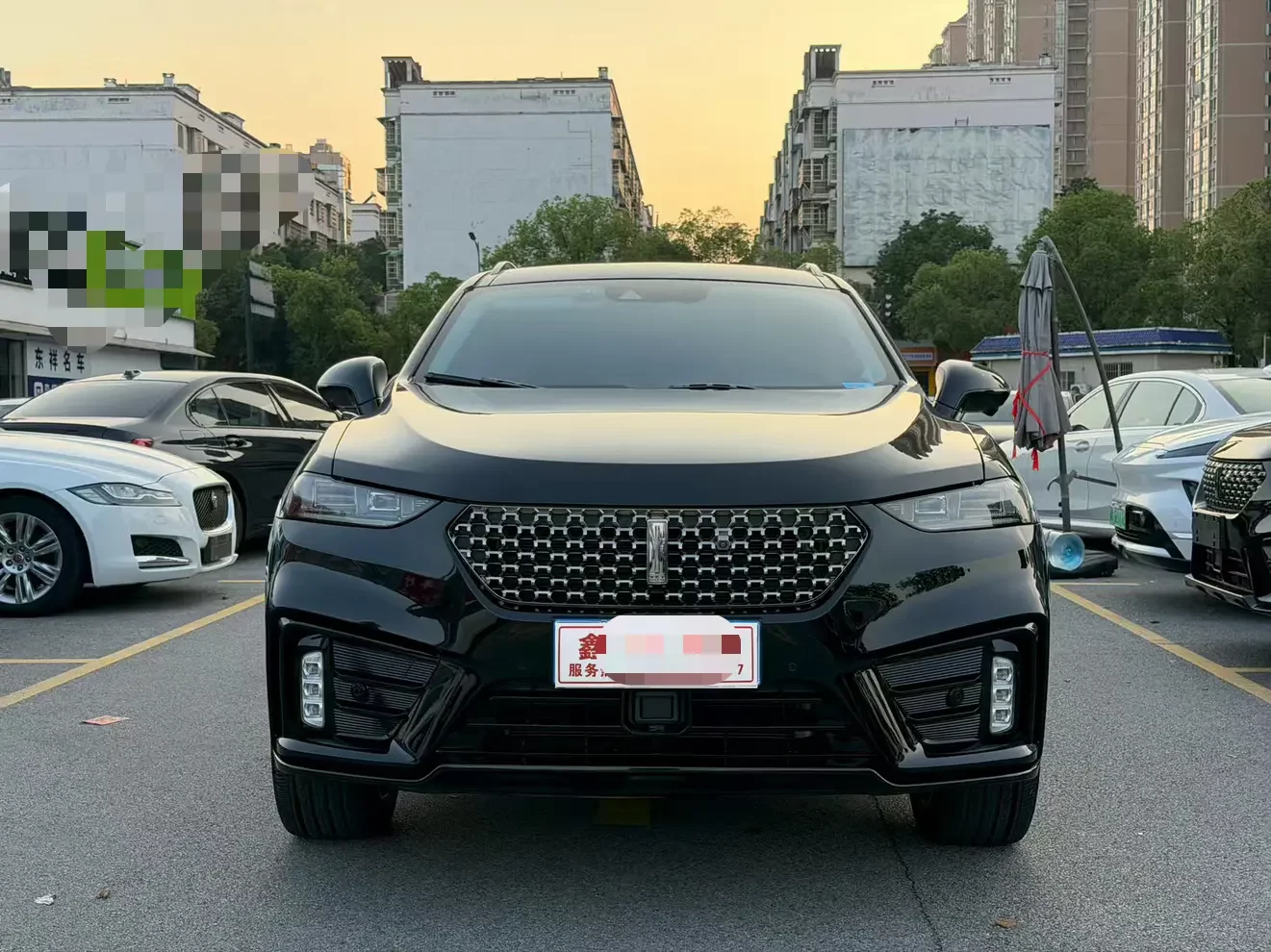 Wey Wei brand VV7