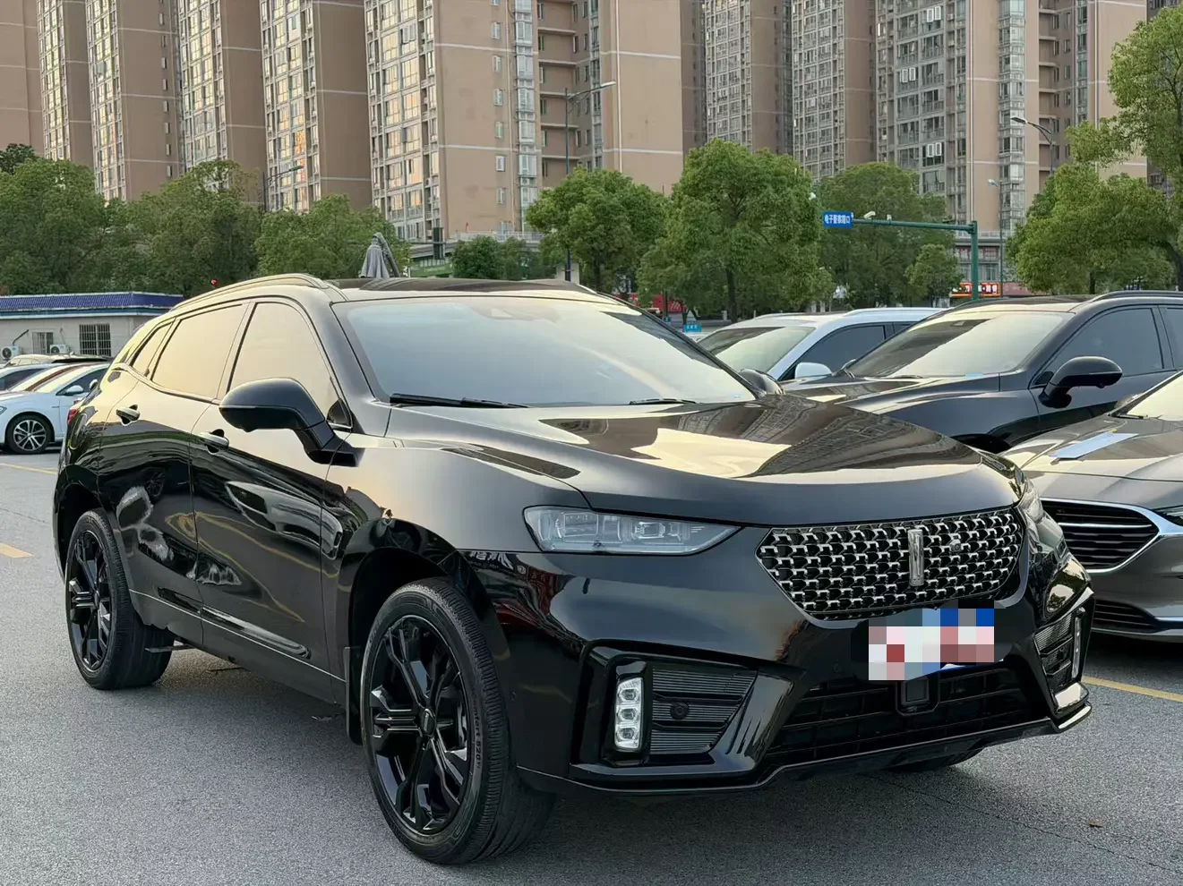 Wey Wei brand VV7