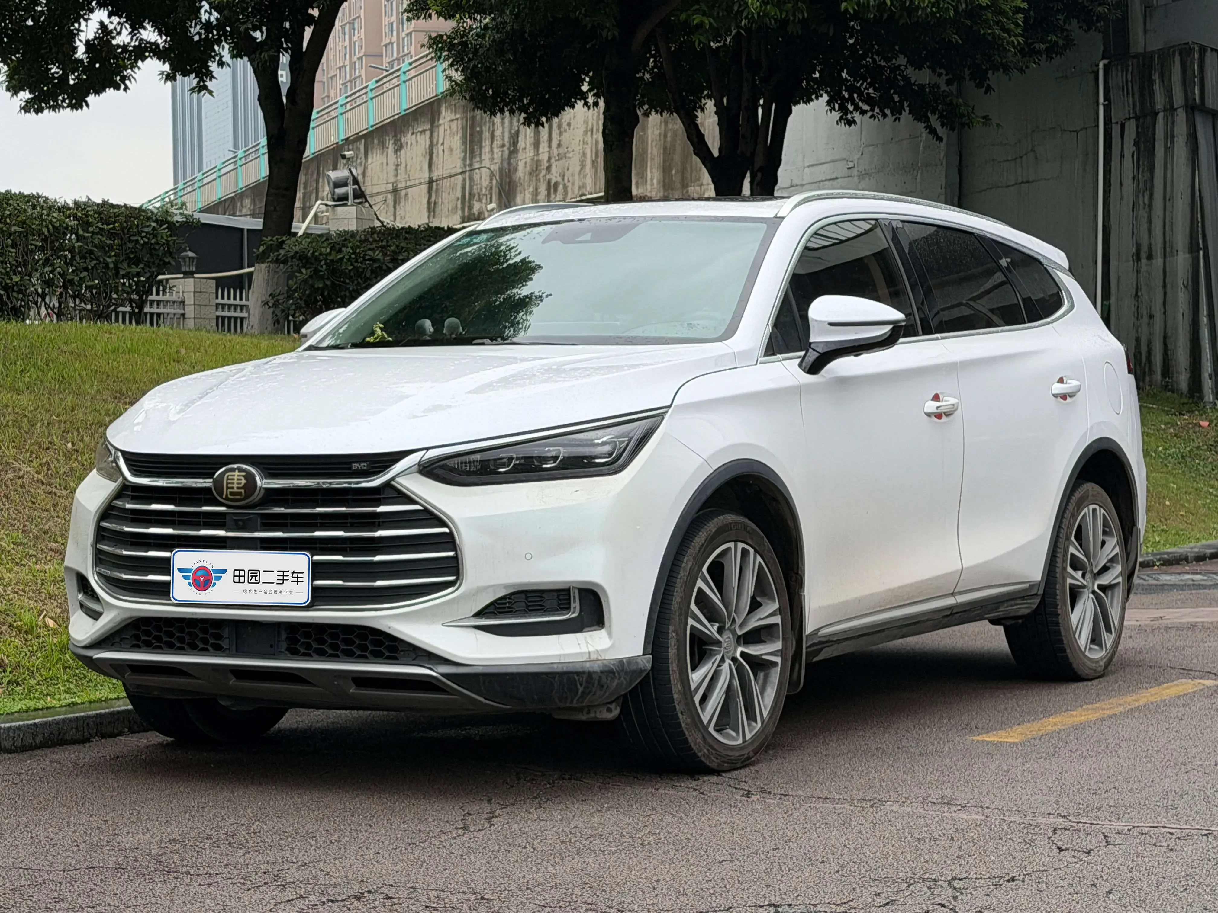 BYD Tang