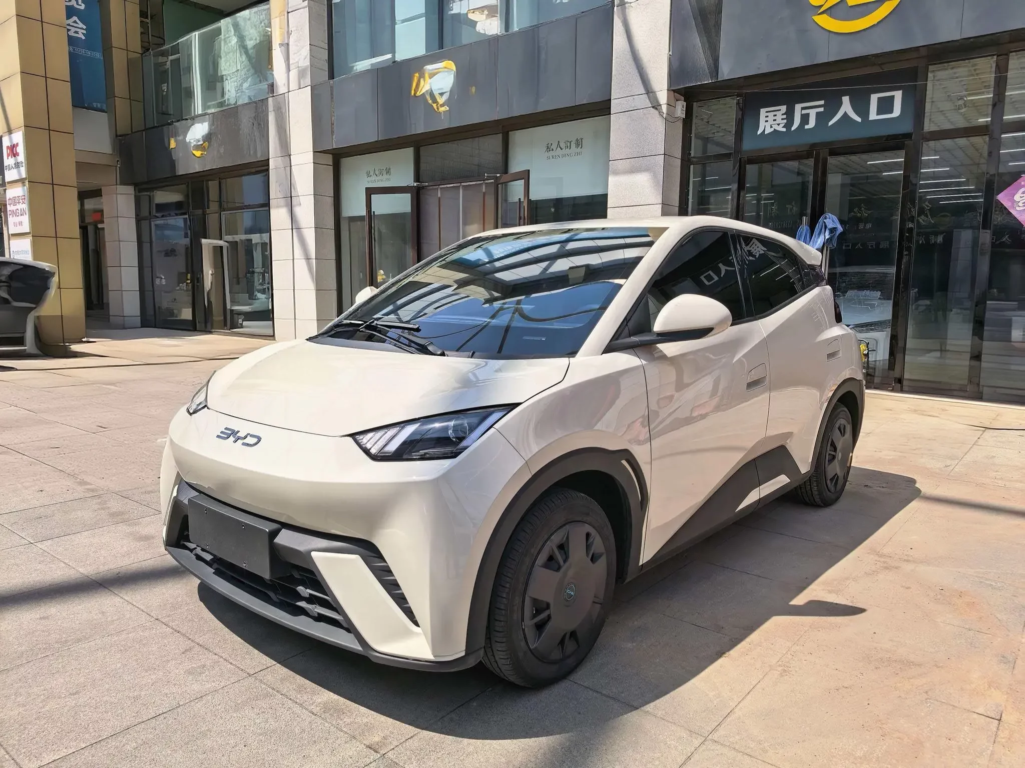 BYD seagull