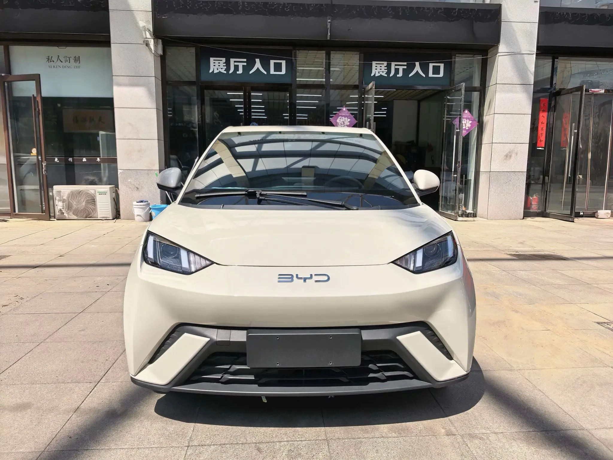 BYD seagull