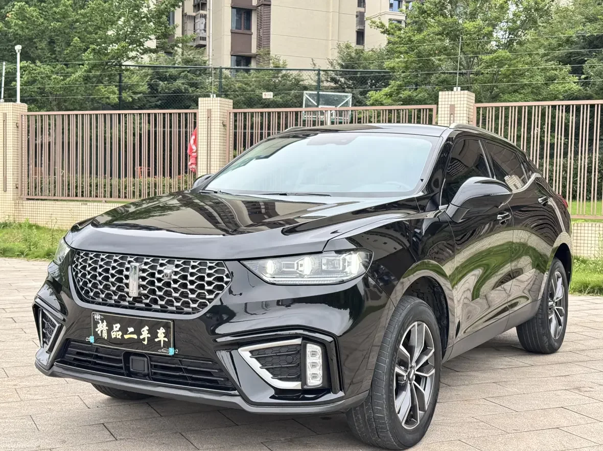 Wey Wei brand VV5