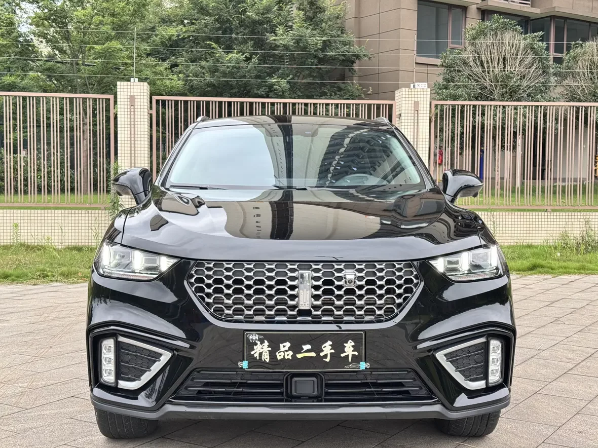 Wey Wei brand VV5