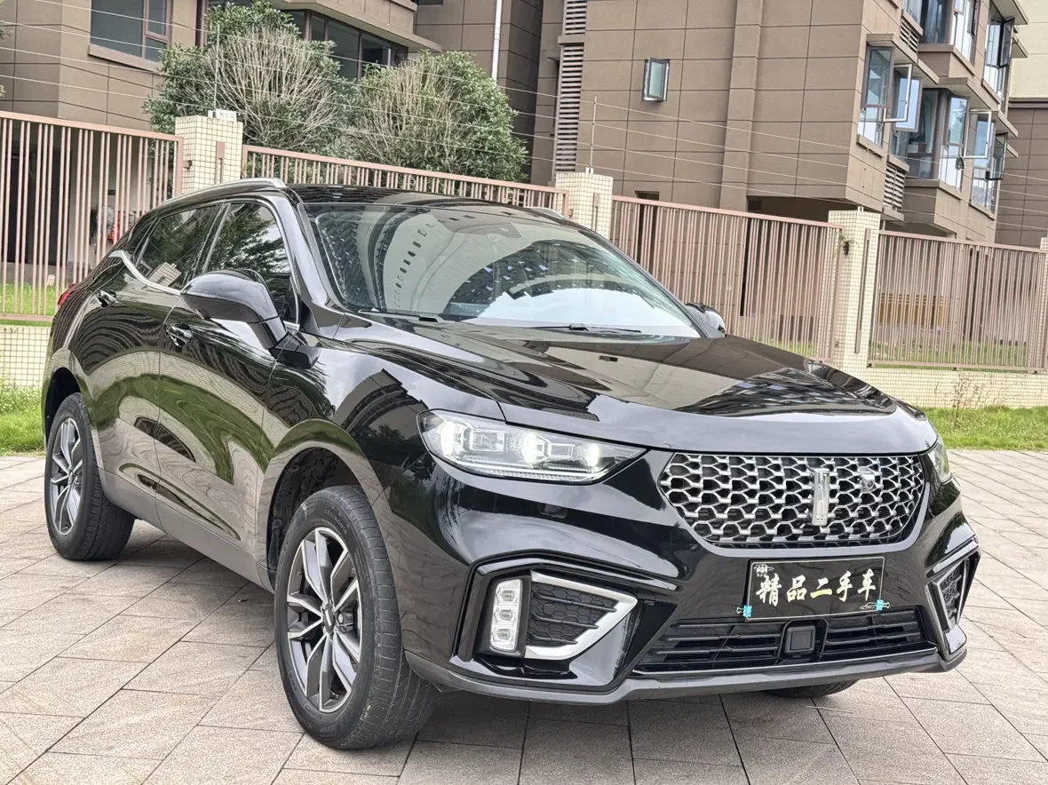 Wey Wei brand VV5