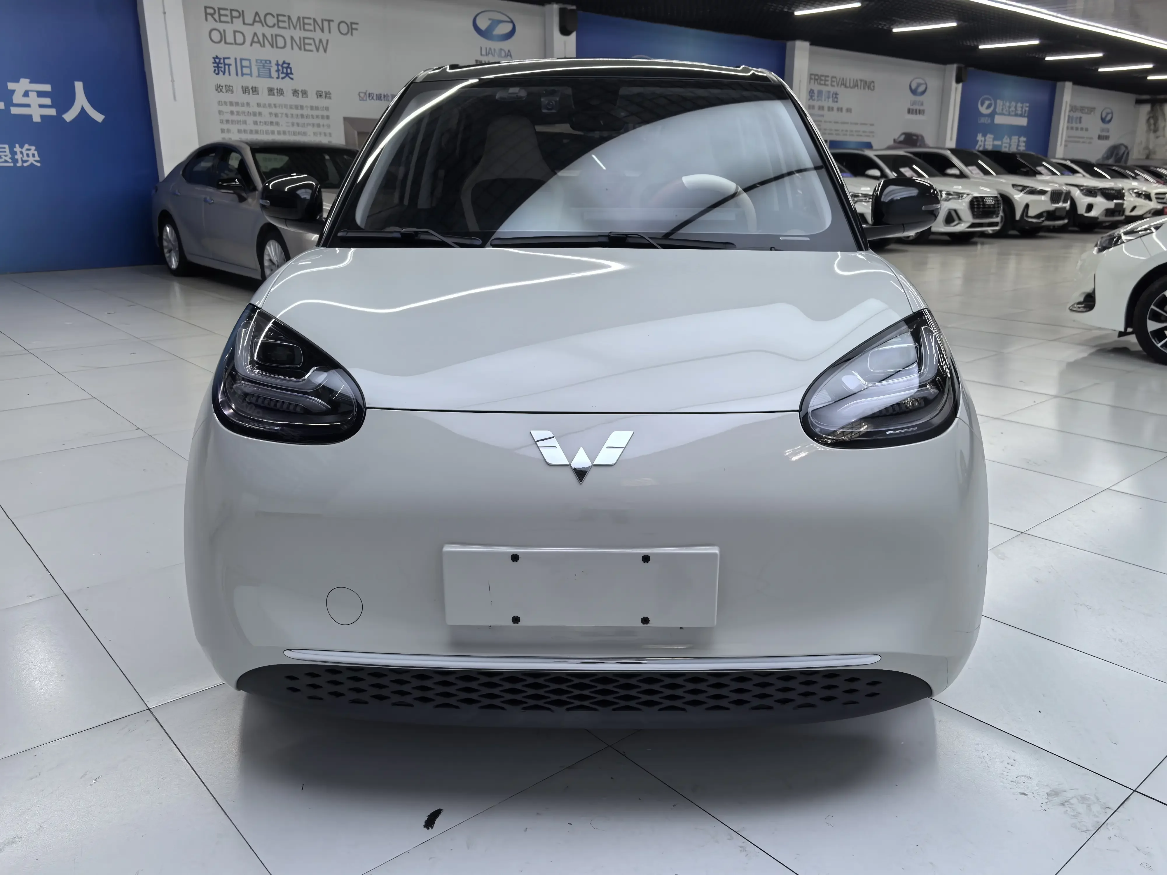 Wuling Bingo
