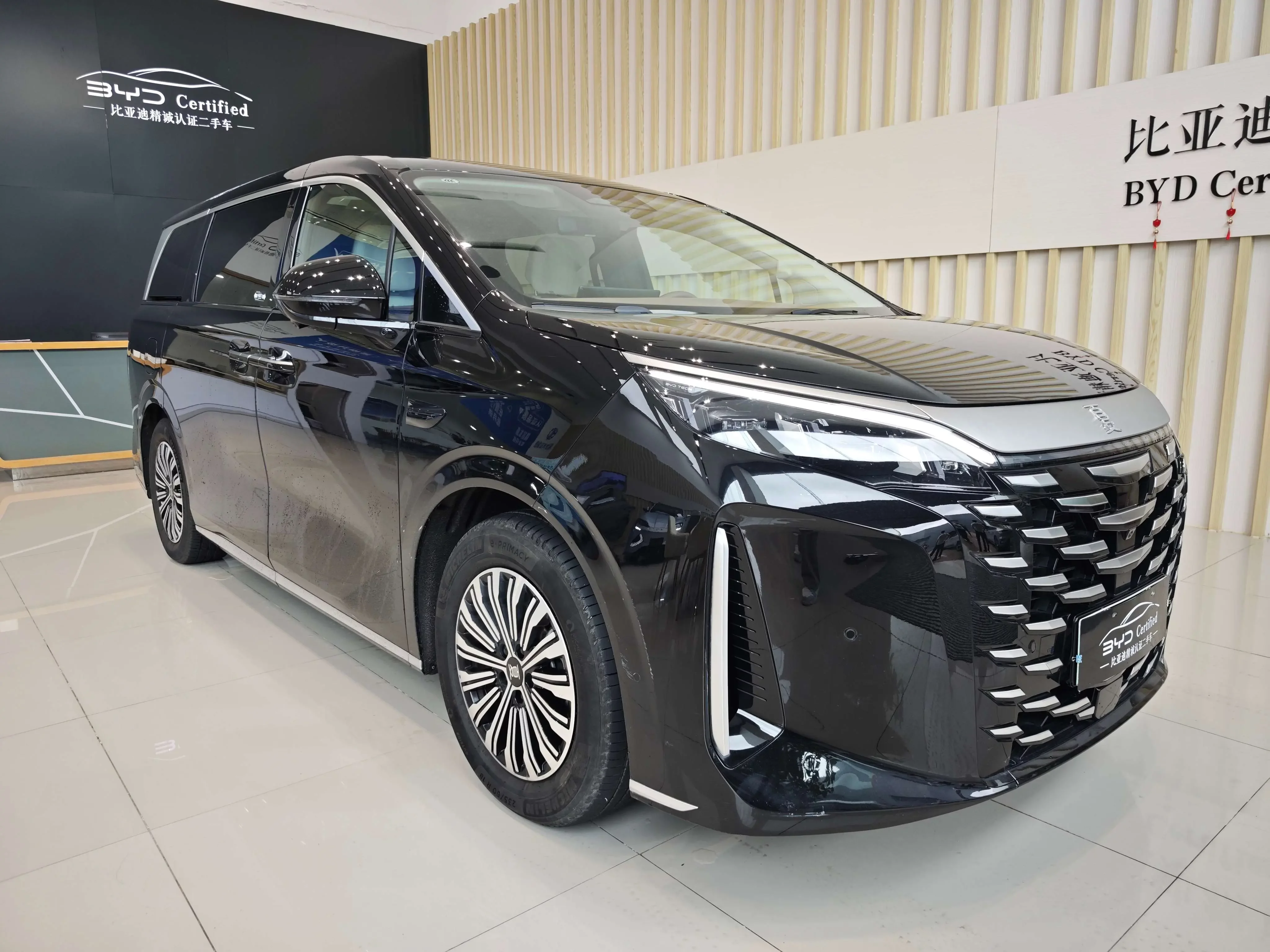 BYD summer
