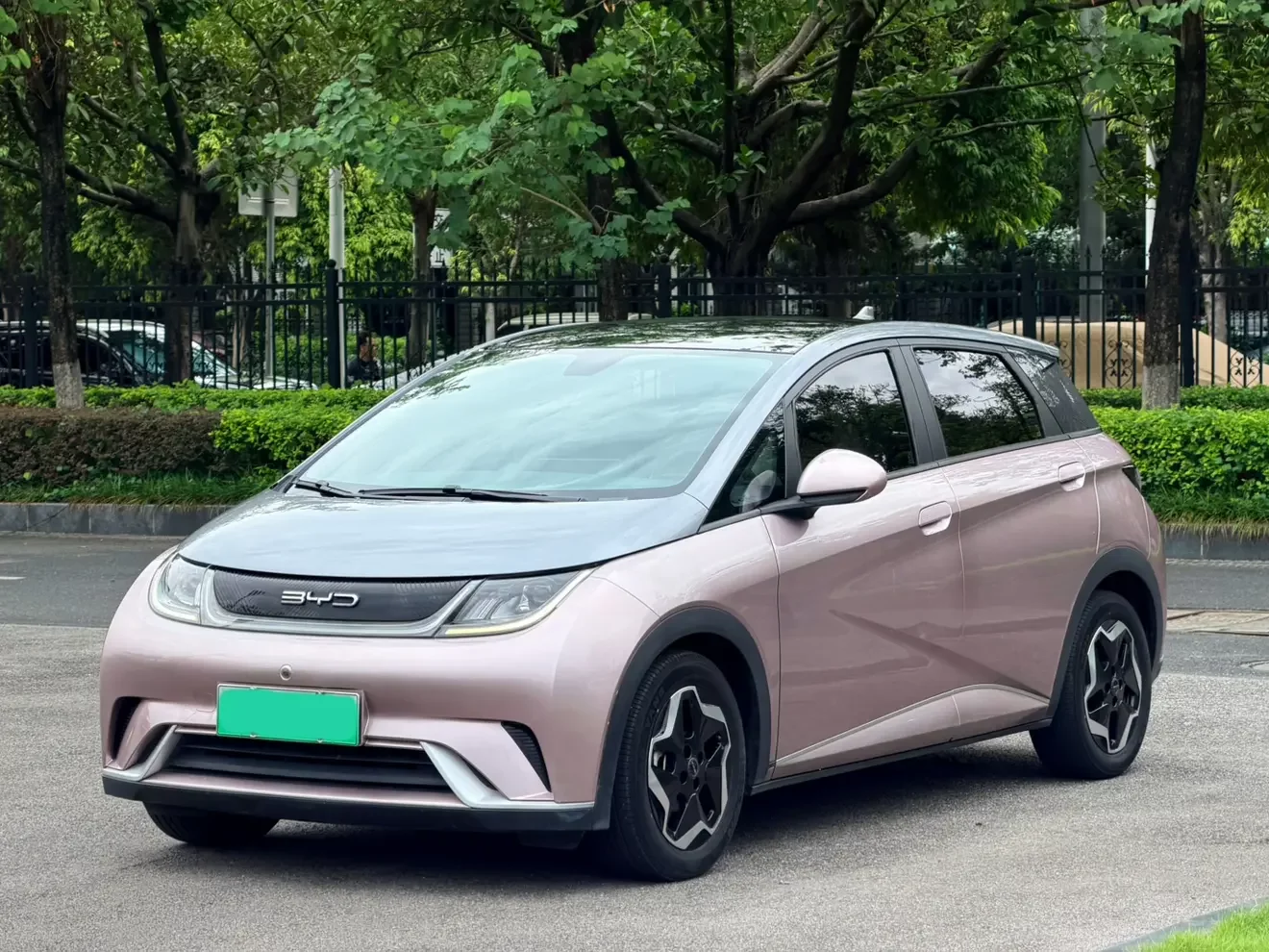 BYD dolphin