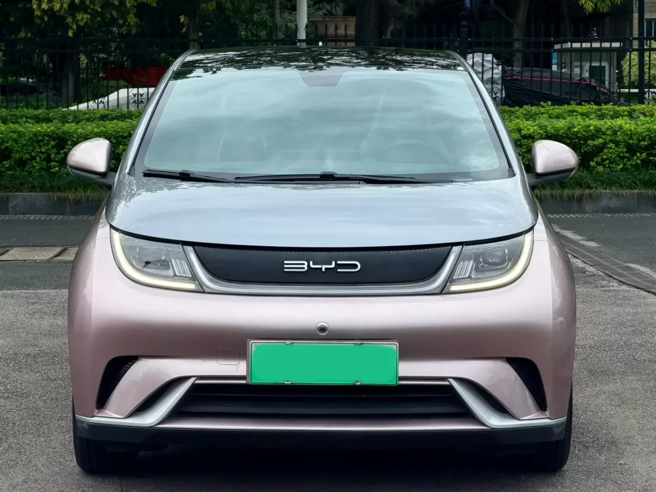 BYD dolphin