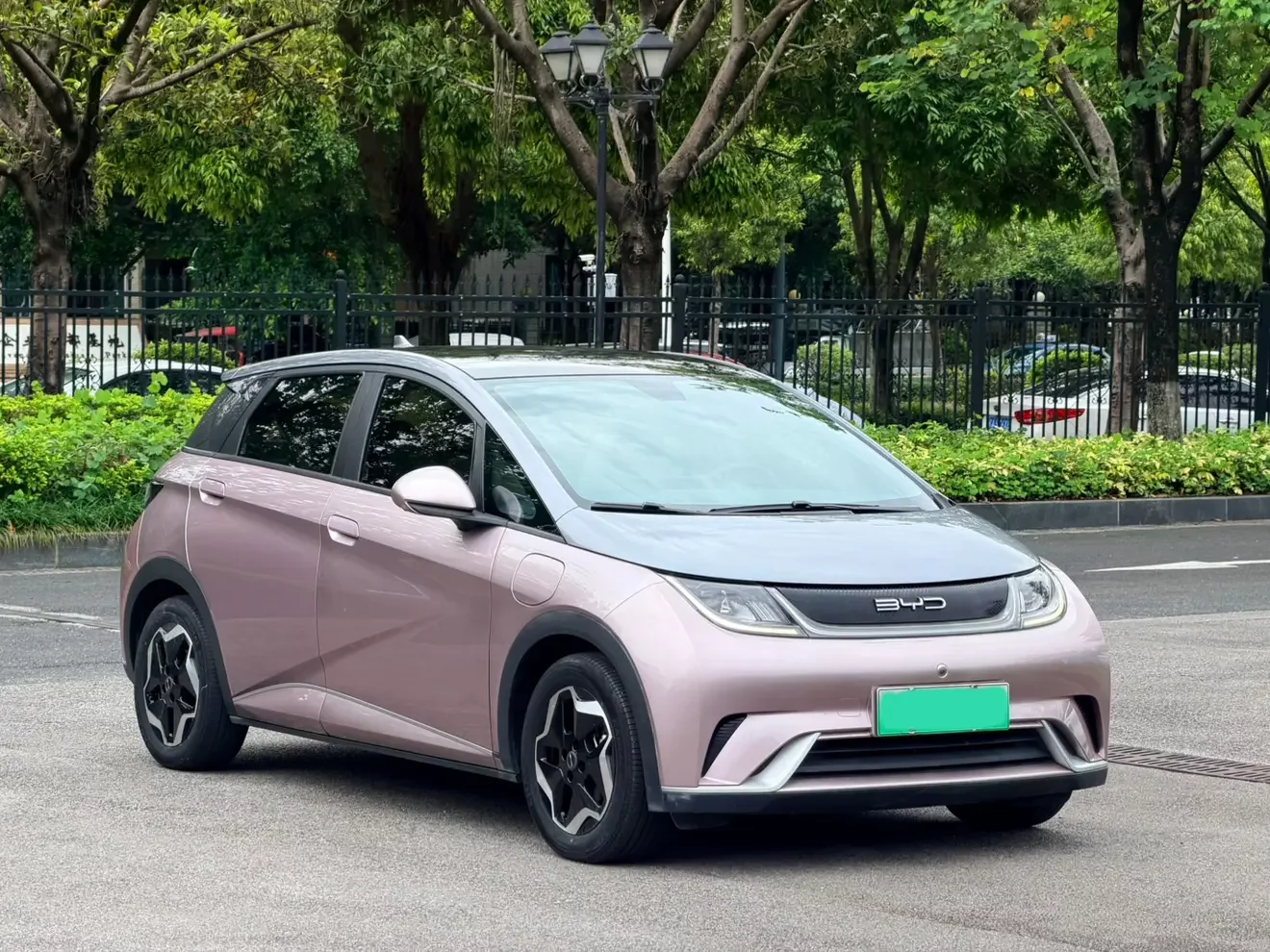 BYD dolphin