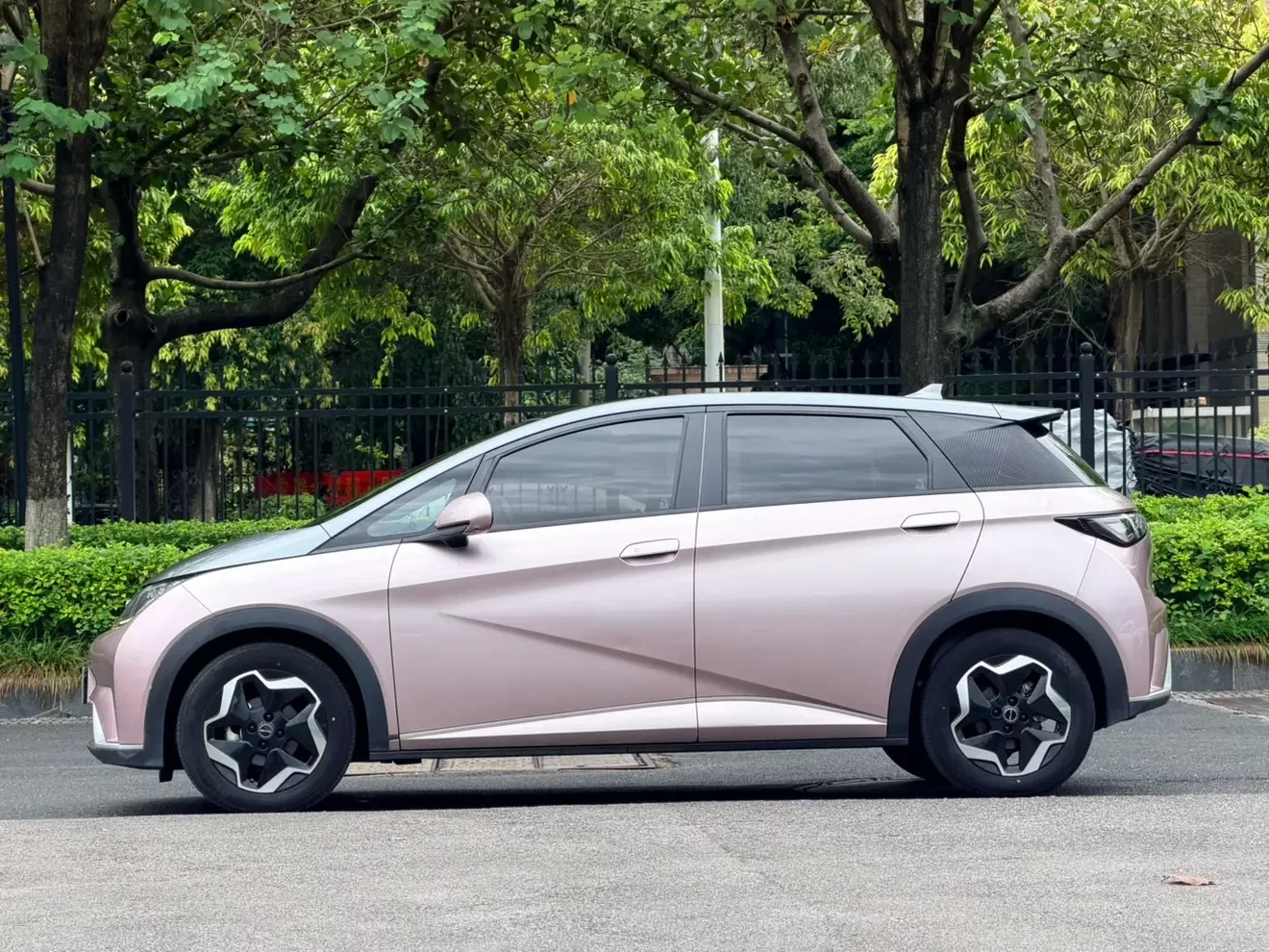 BYD dolphin