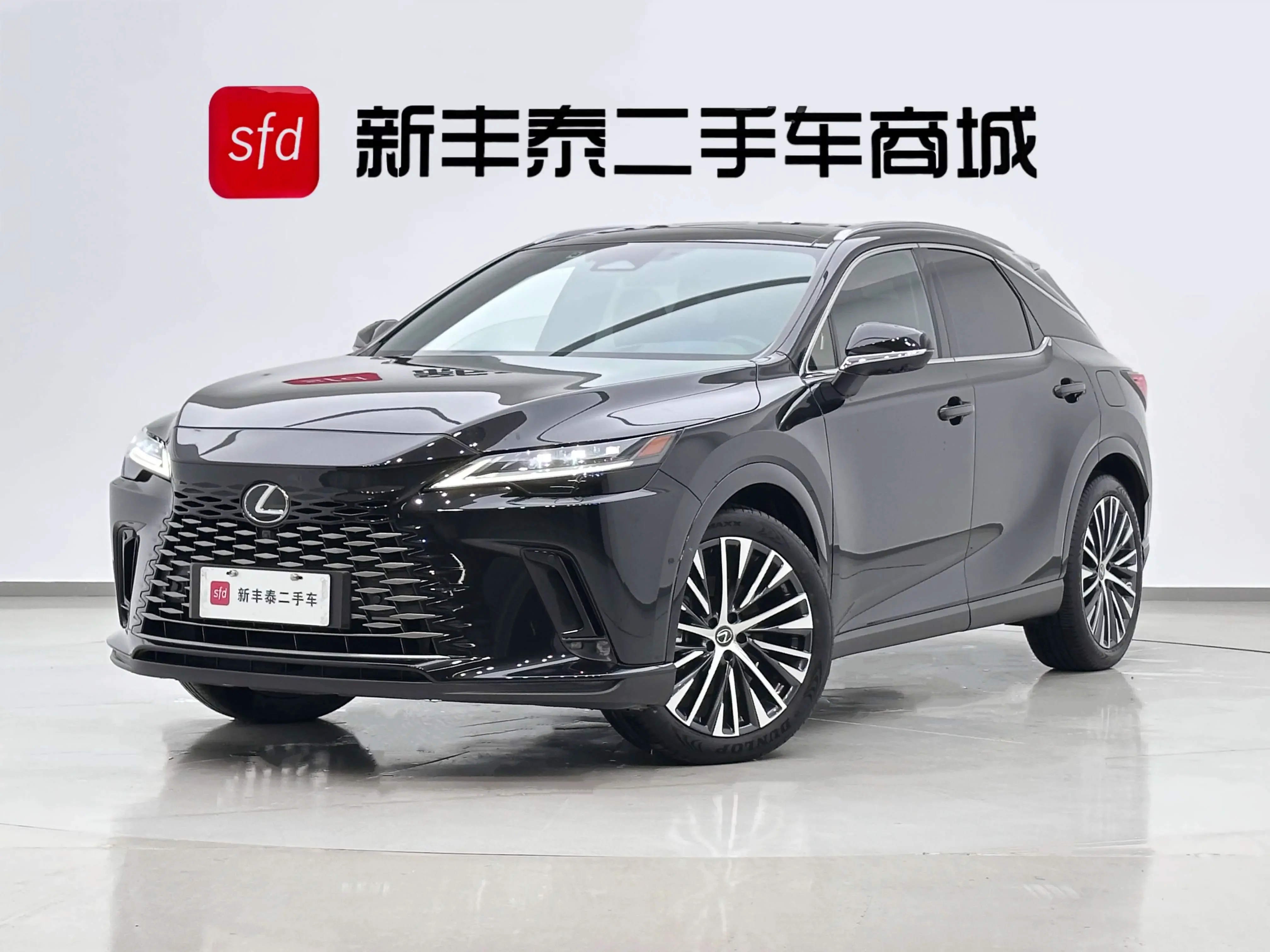 Lexus RX PHEV