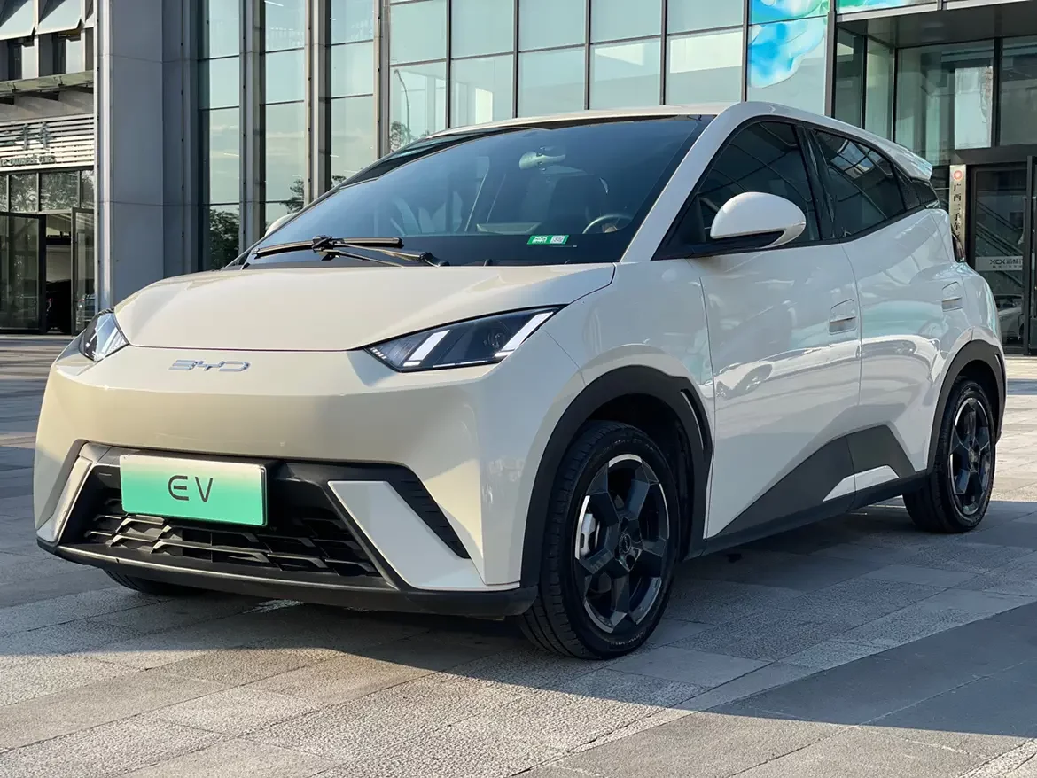 BYD seagull
