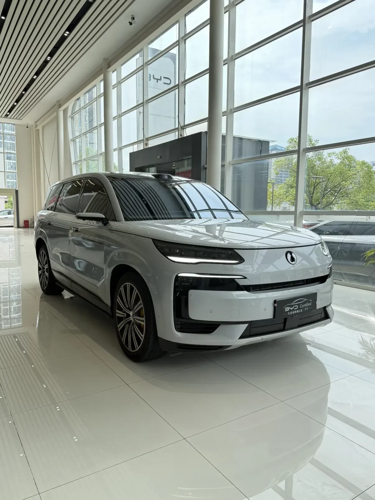 Denza Tengzhong N9 DM