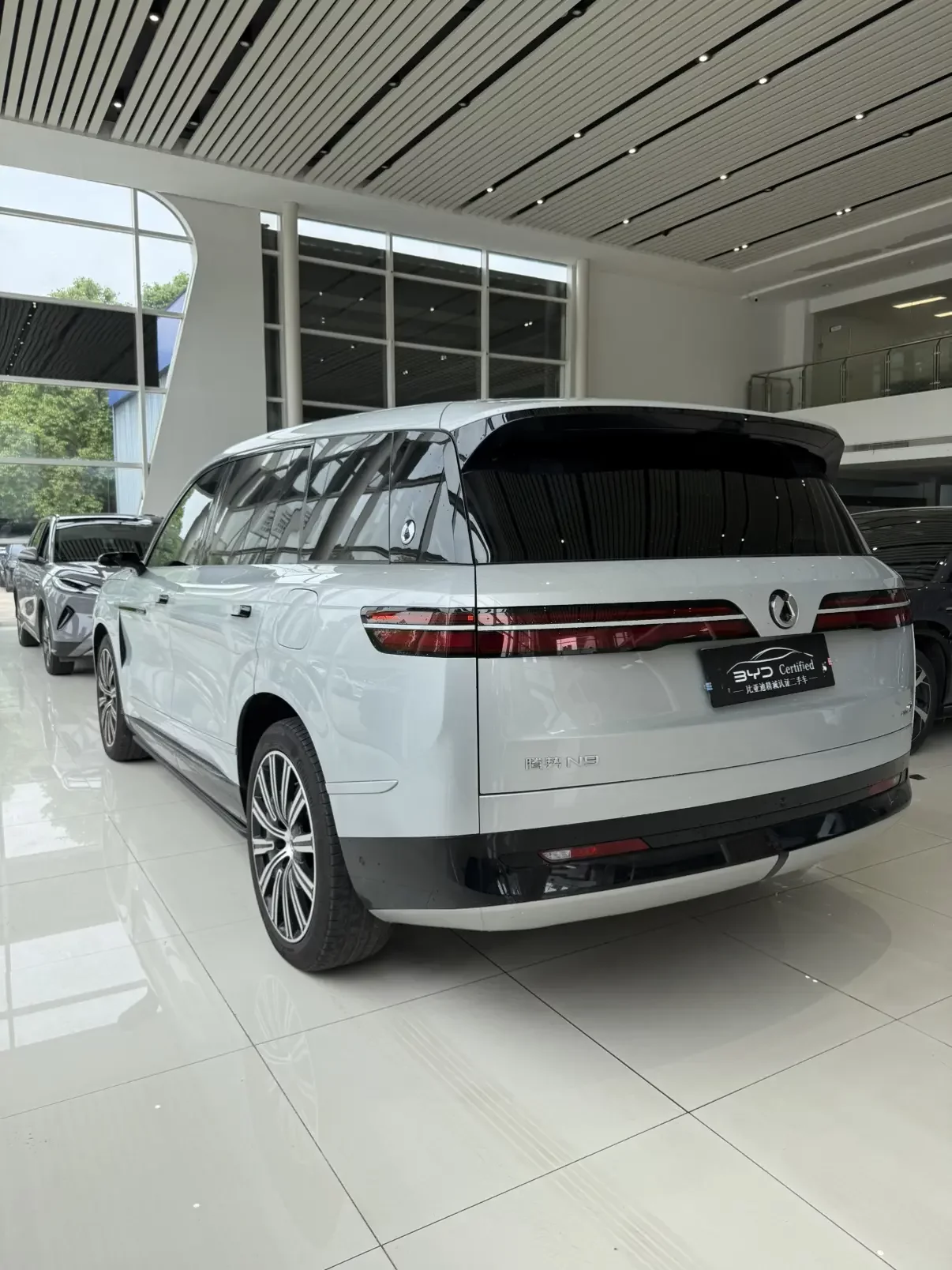 Denza Tengzhong N9 DM
