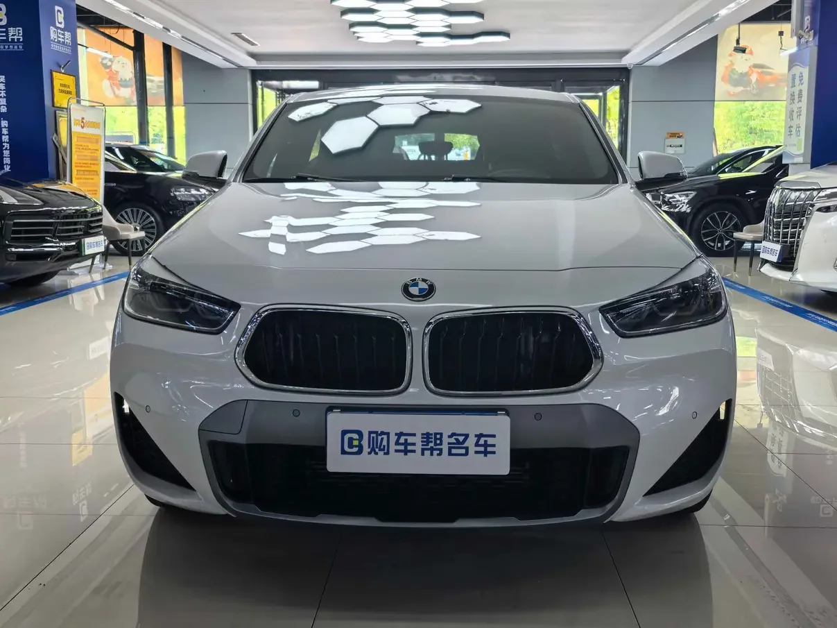 BMW X2