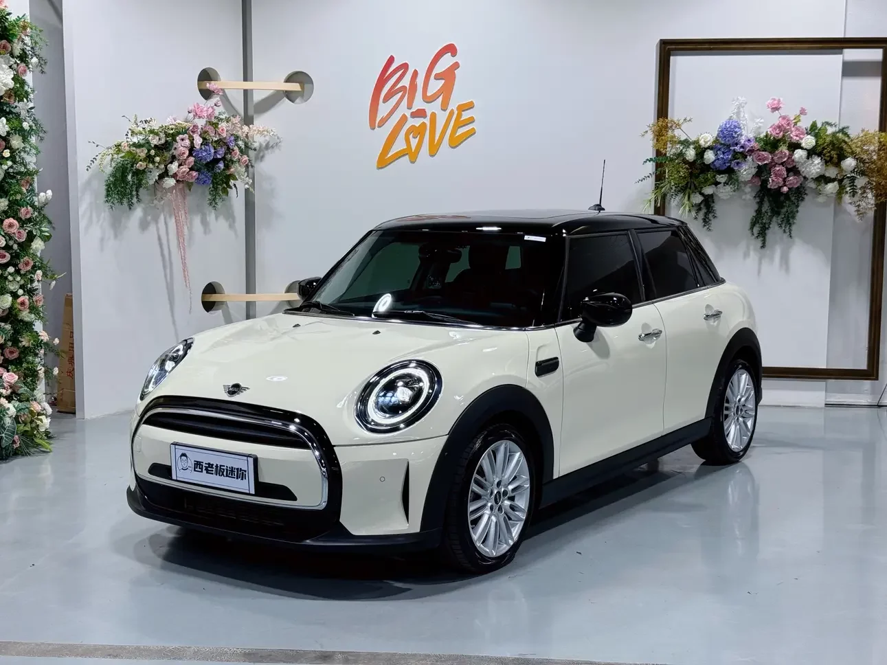 MINI 