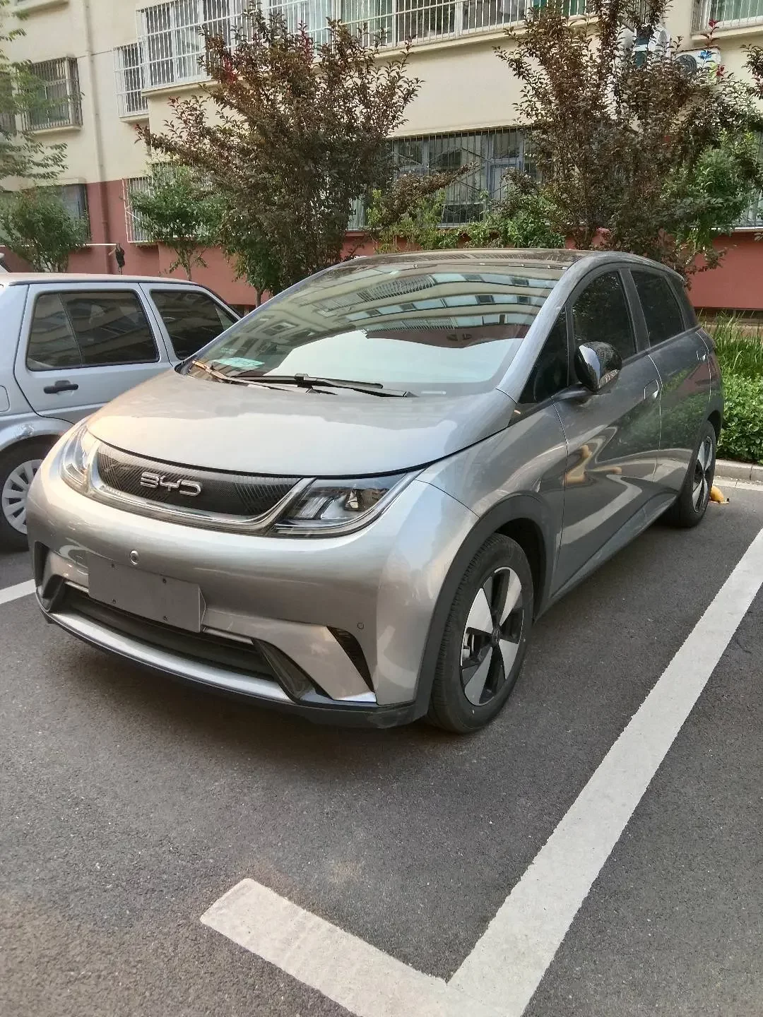 BYD dolphin