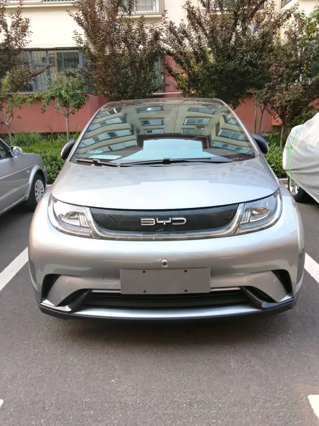 BYD dolphin