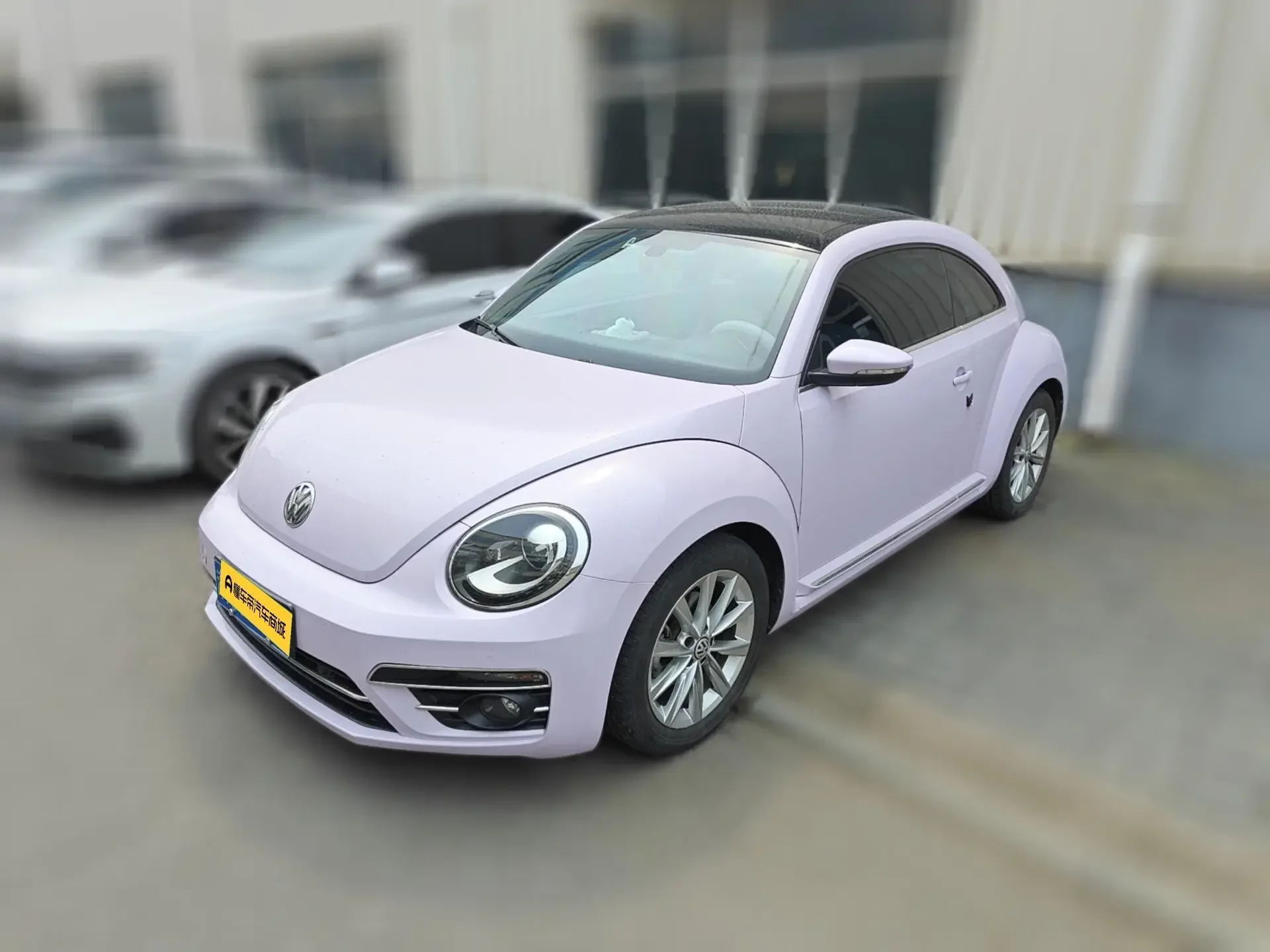 Volkswagen Beetle