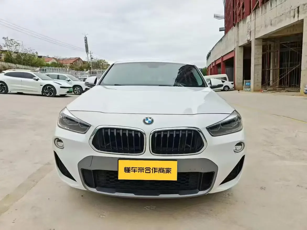BMW X2