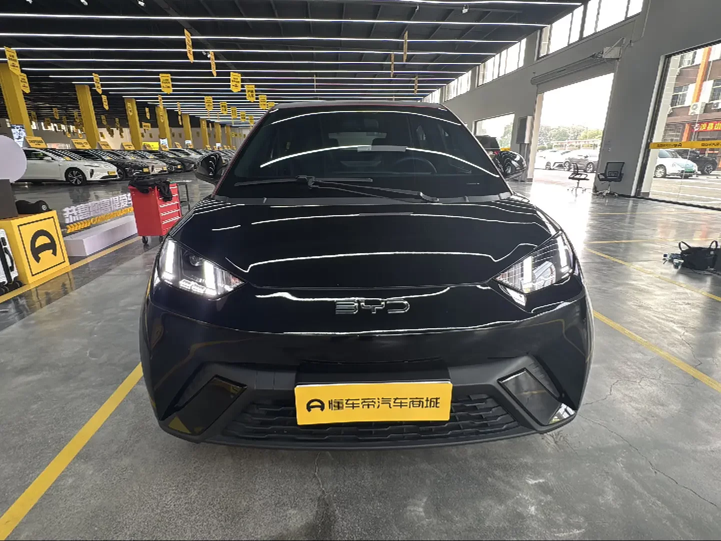BYD seagull