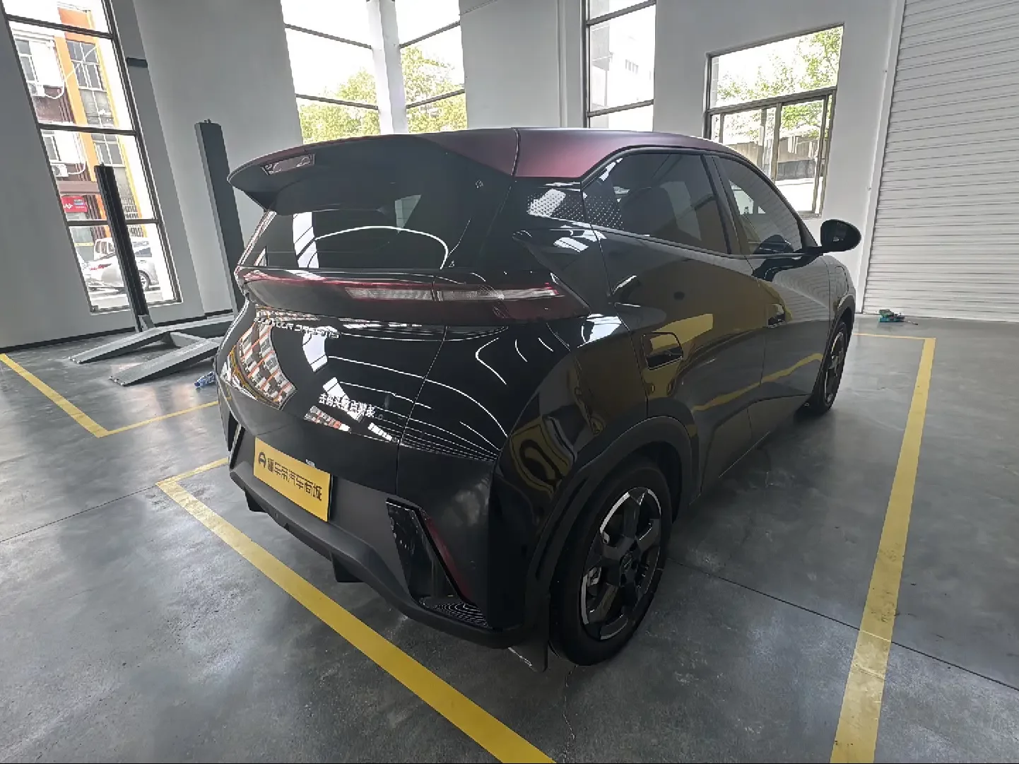 BYD seagull