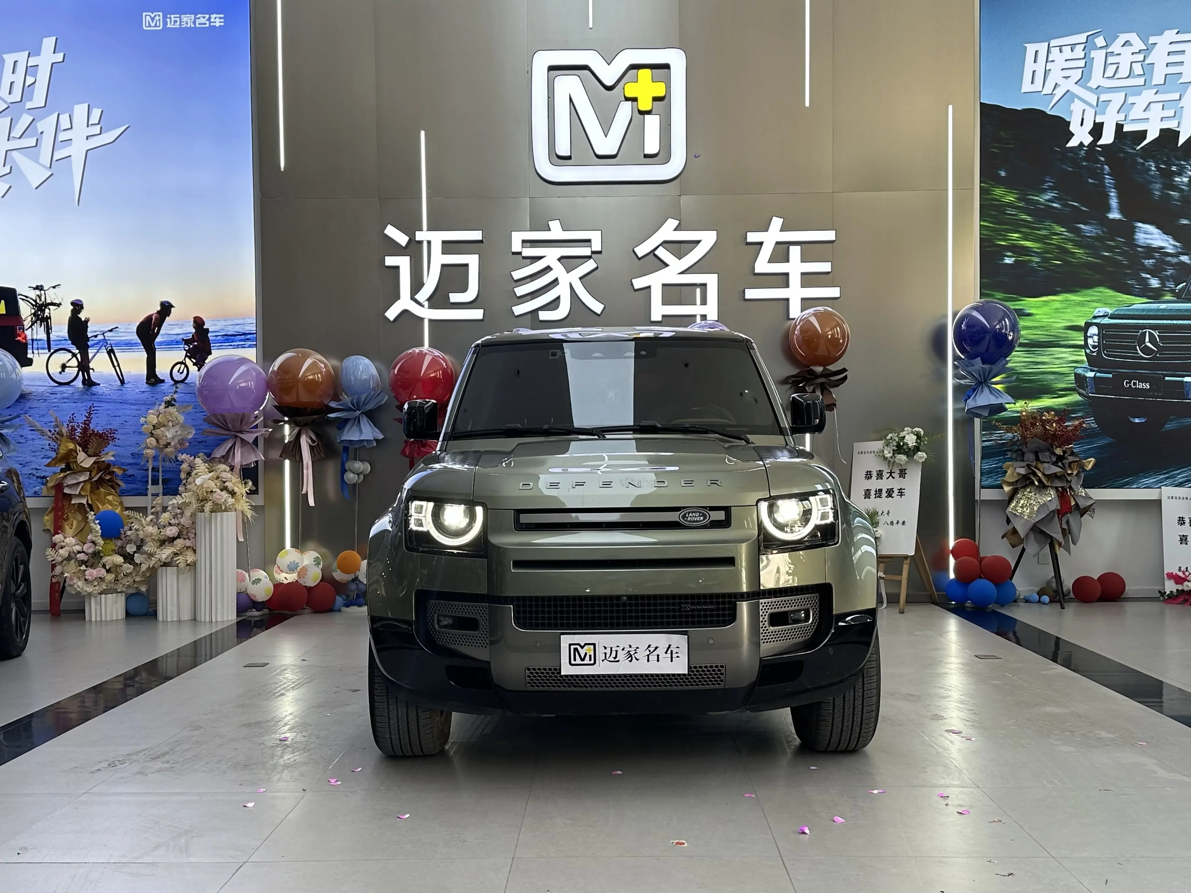 Land Rover guard