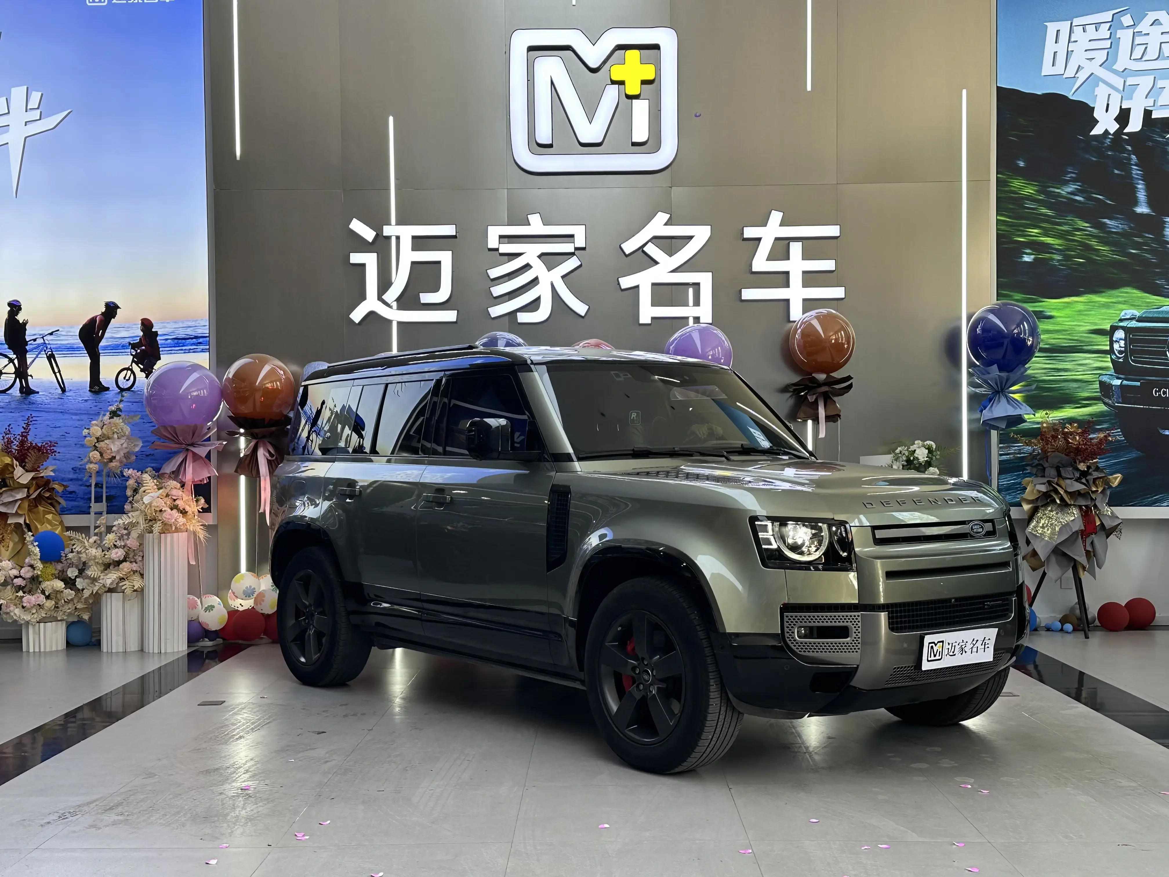 Land Rover guard
