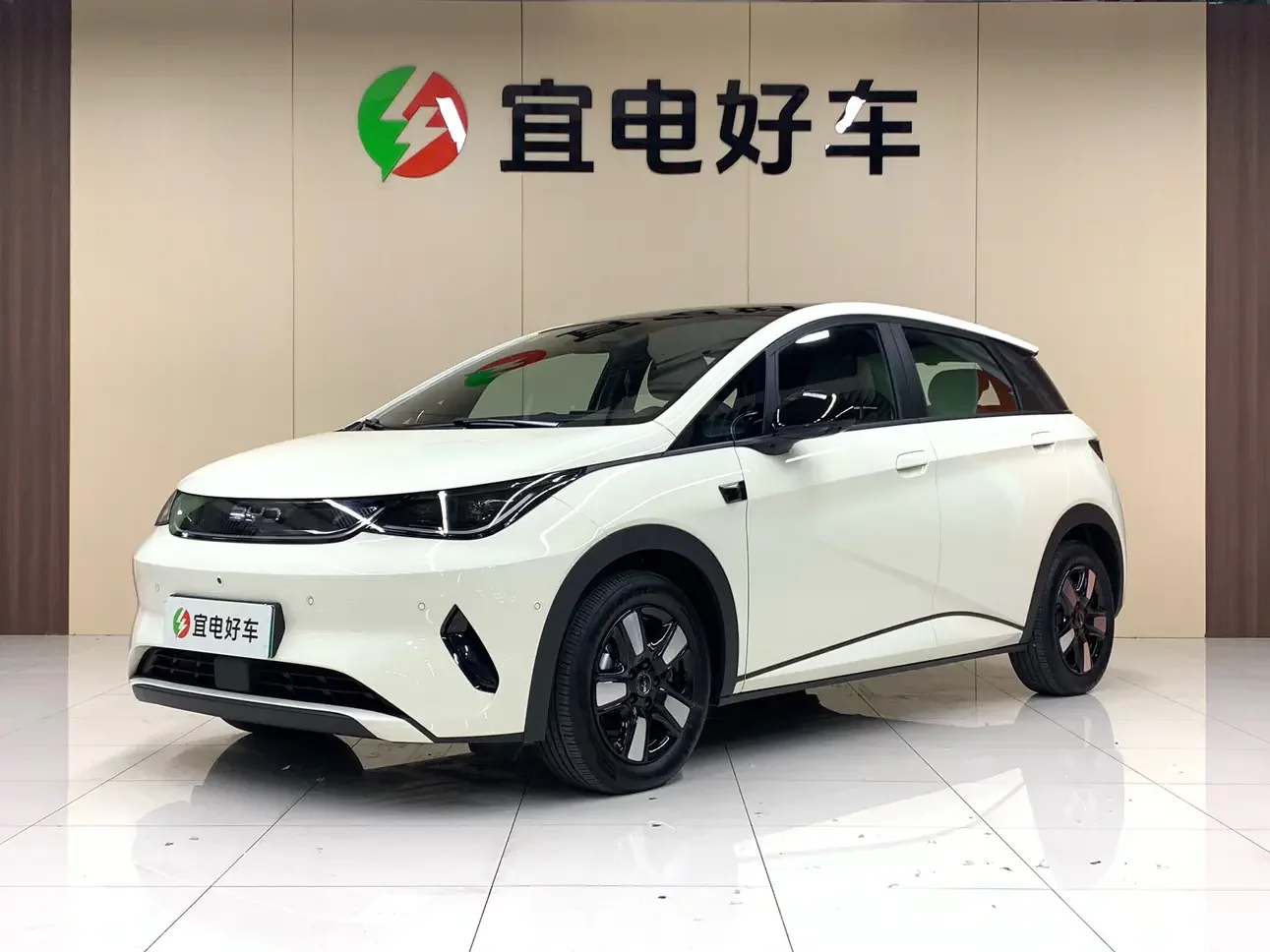 BYD dolphin