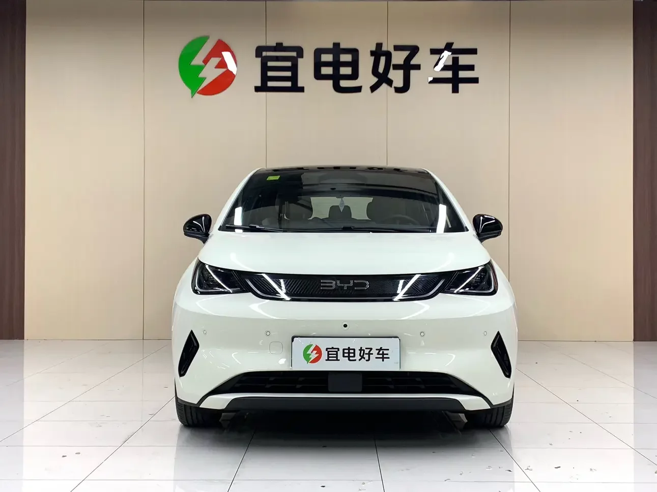 BYD dolphin