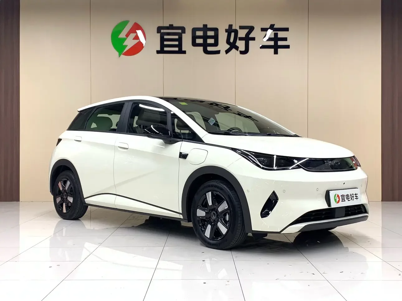 BYD dolphin