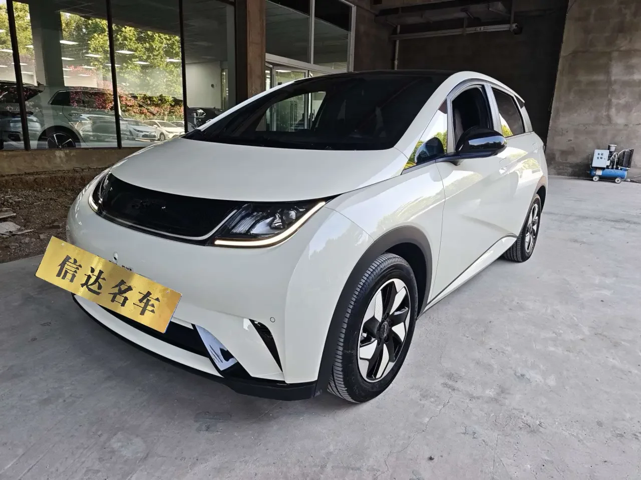 BYD dolphin