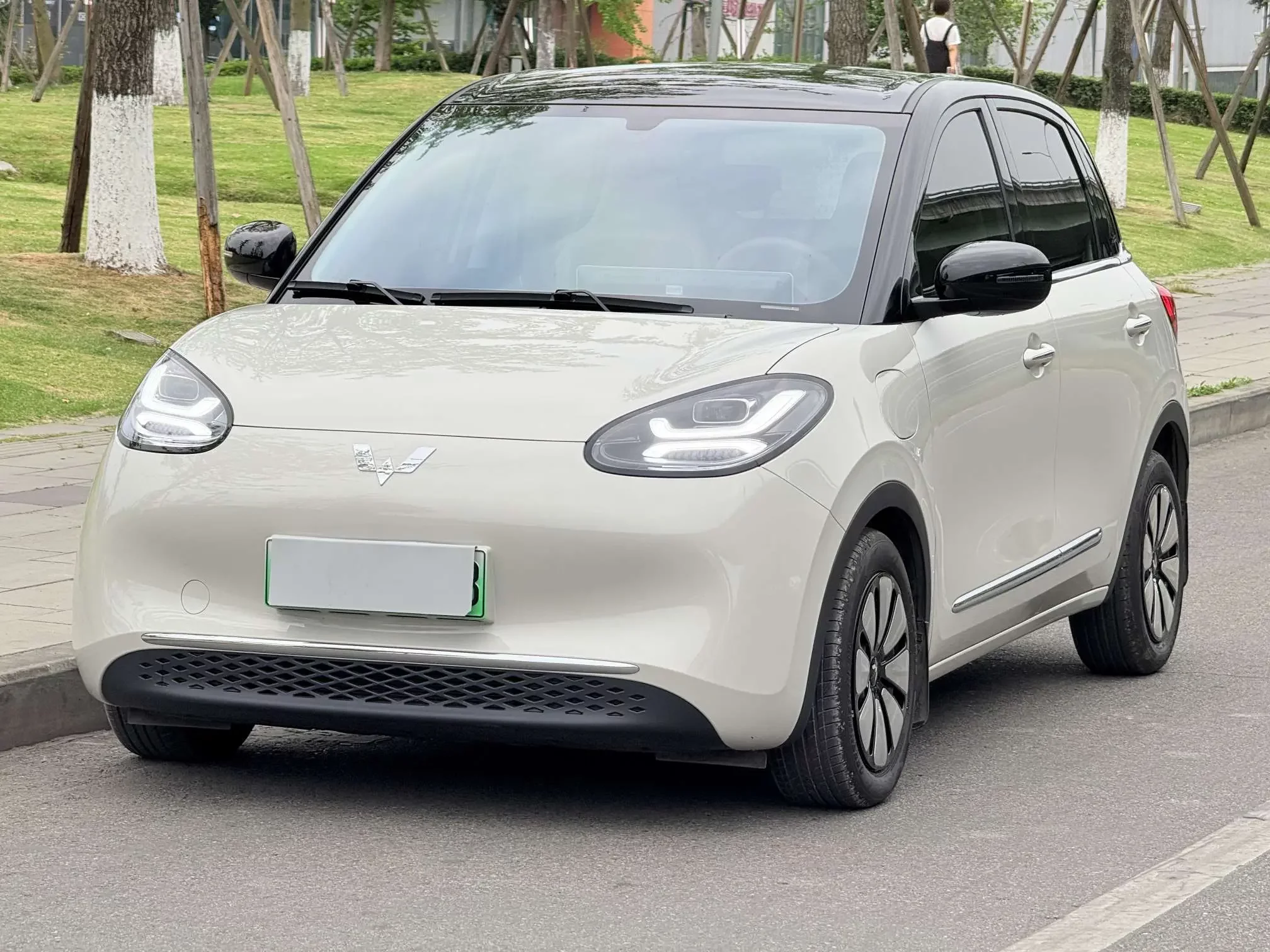 Wuling Bingo