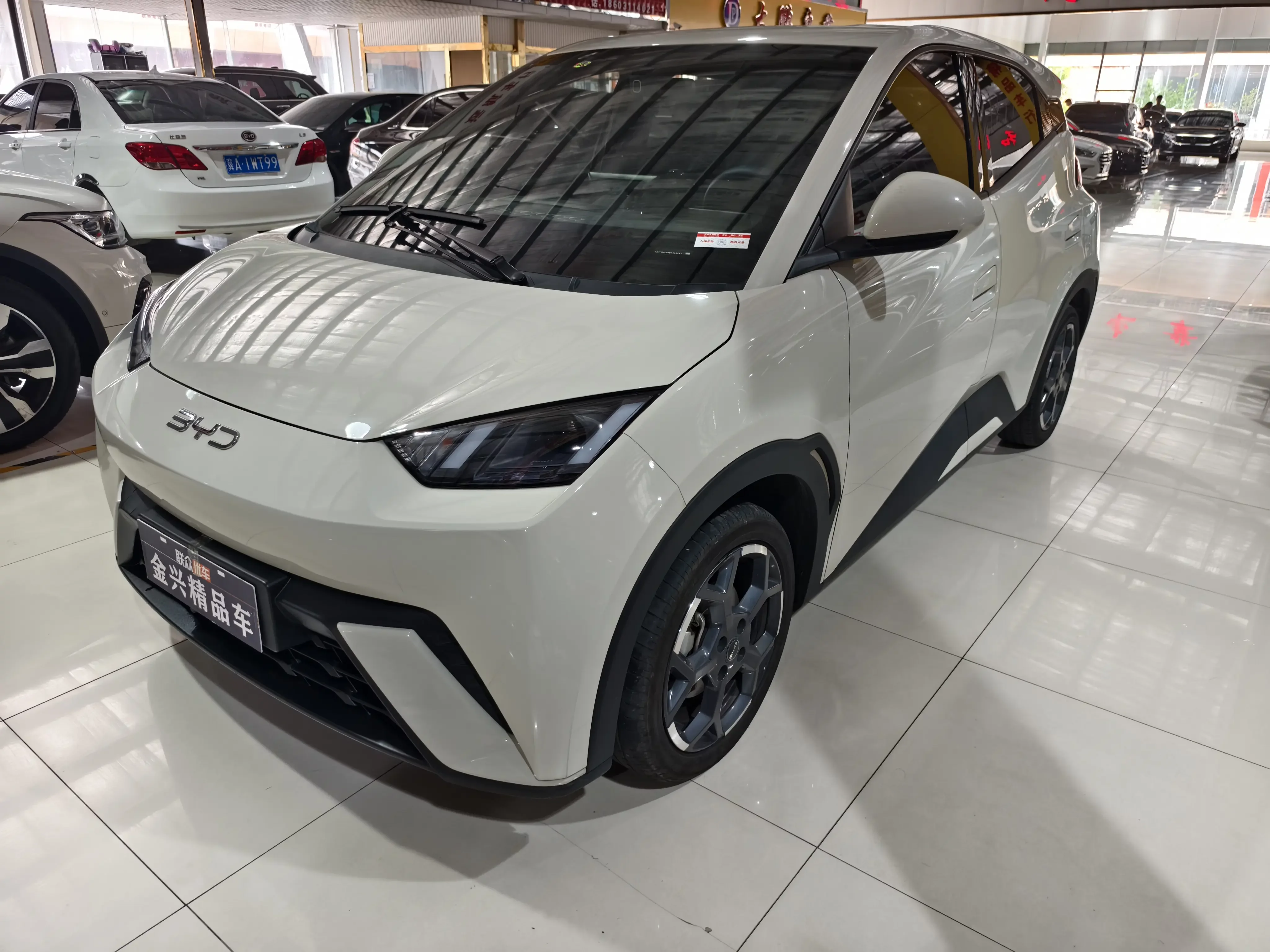 BYD seagull