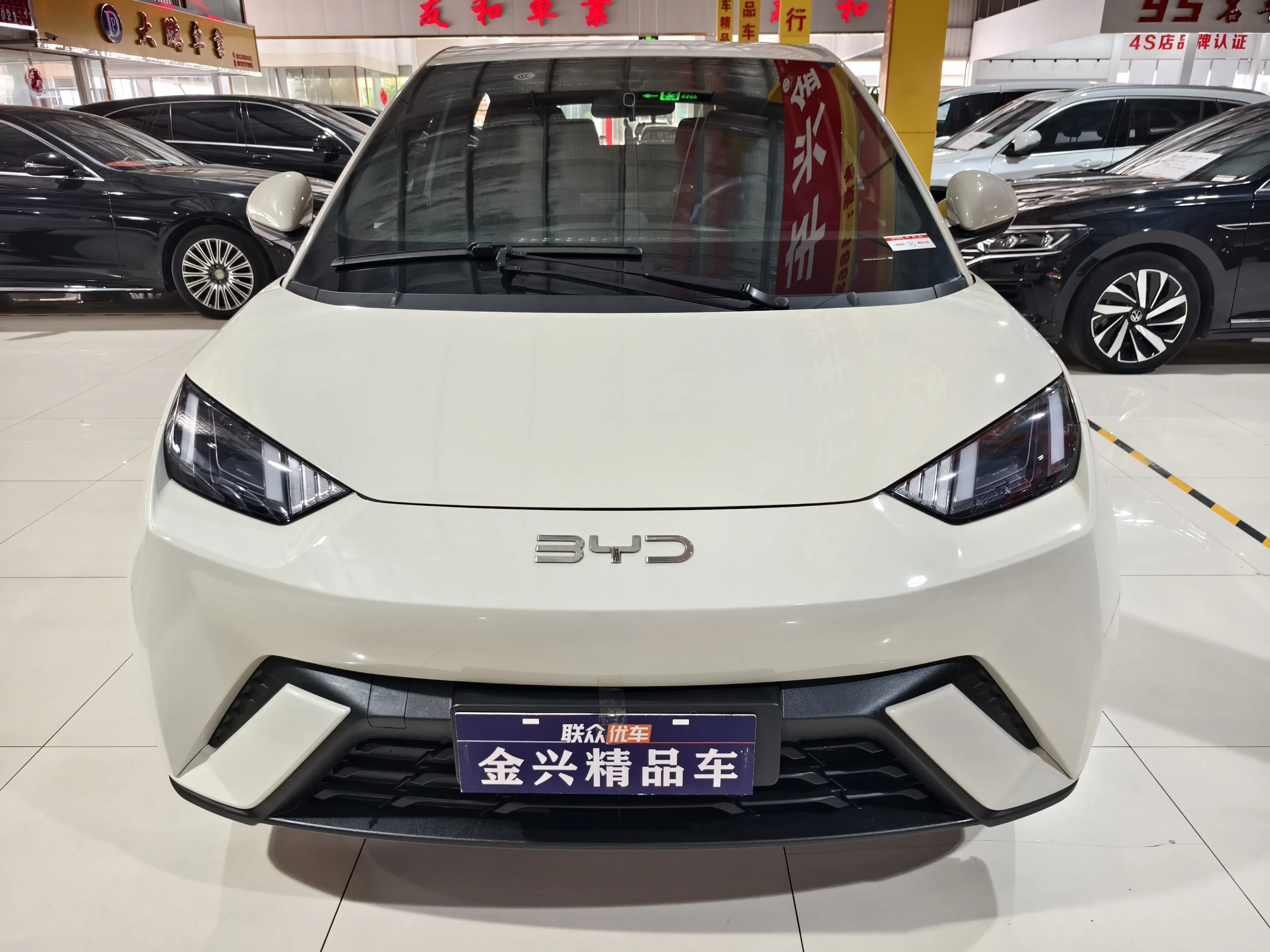 BYD seagull
