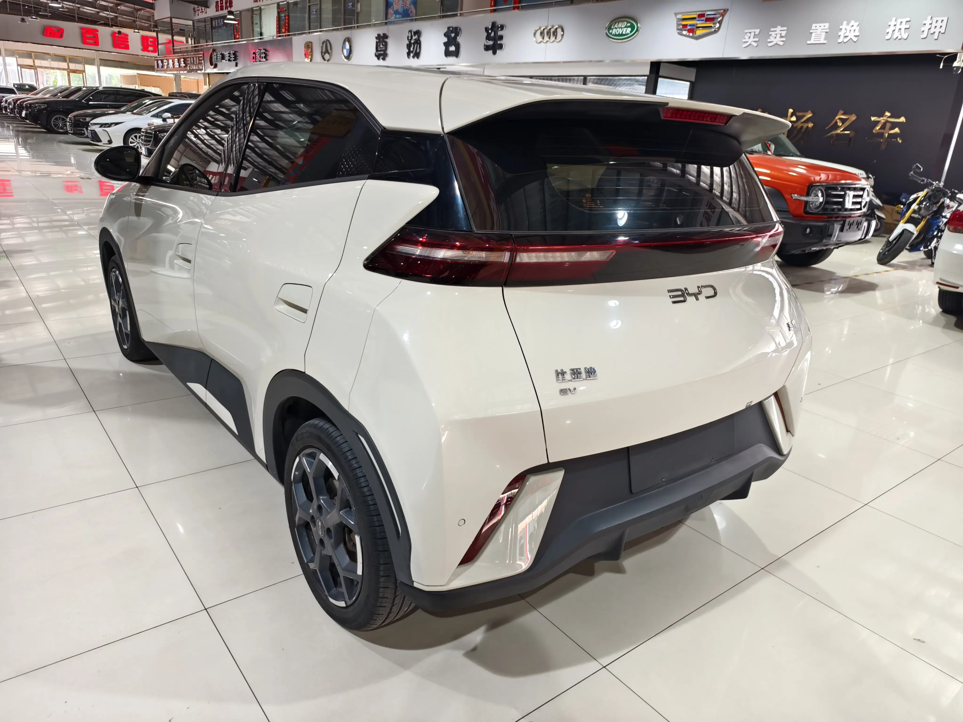 BYD seagull