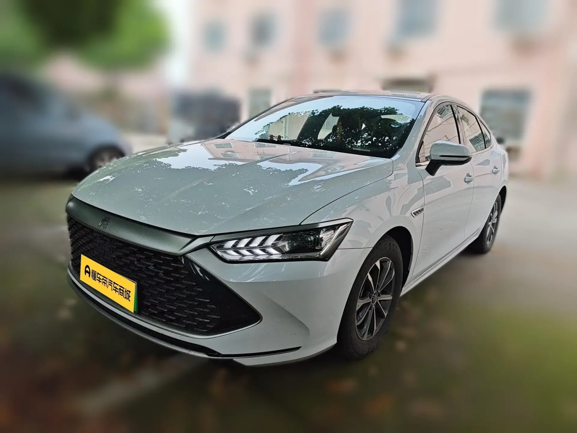 BYD Qin PLUS DM