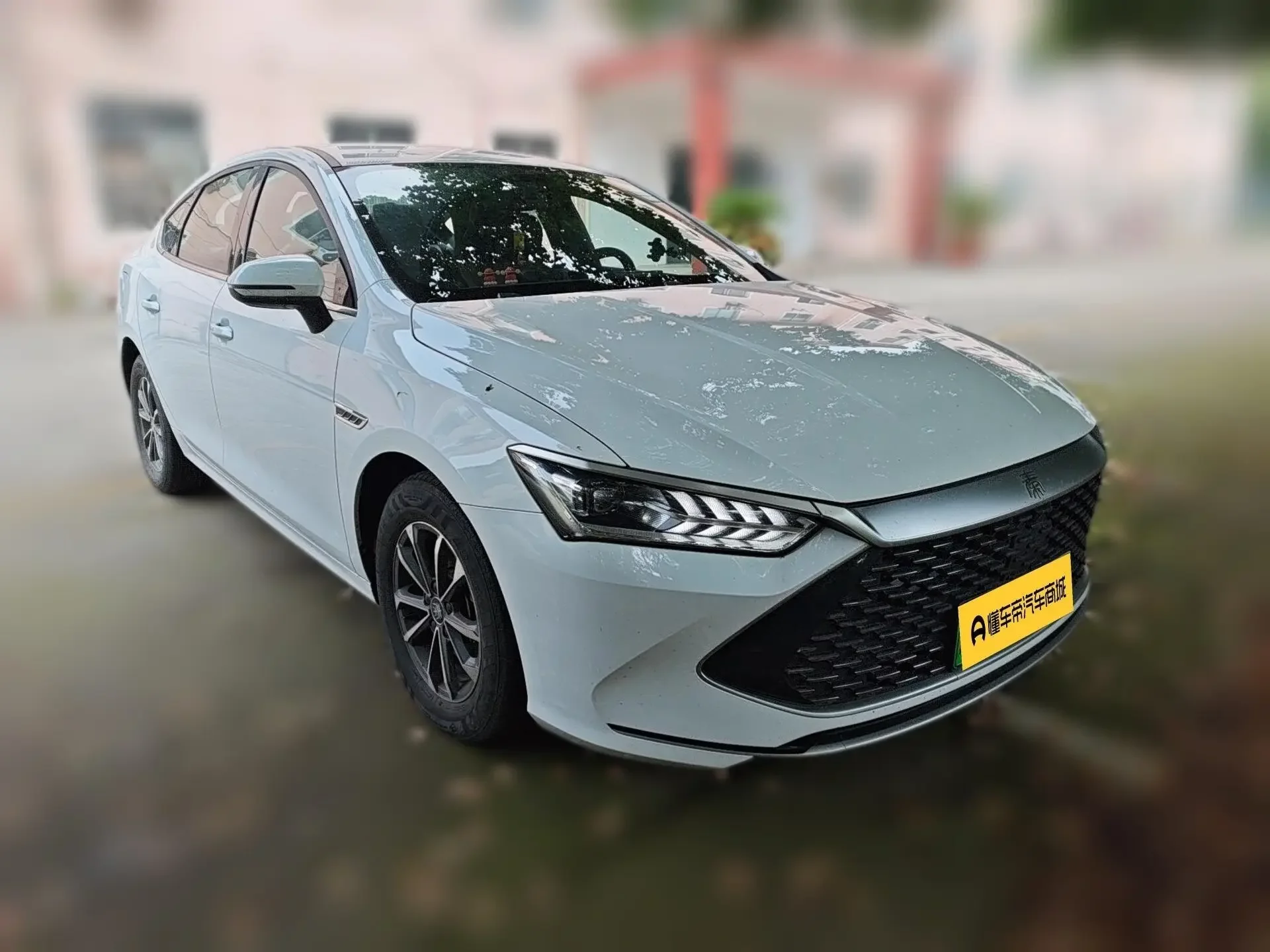BYD Qin PLUS DM