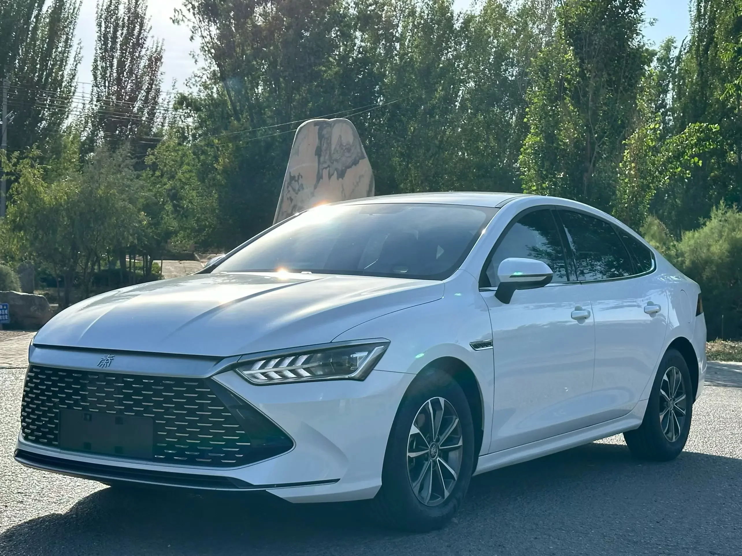 BYD Qin PLUS DM