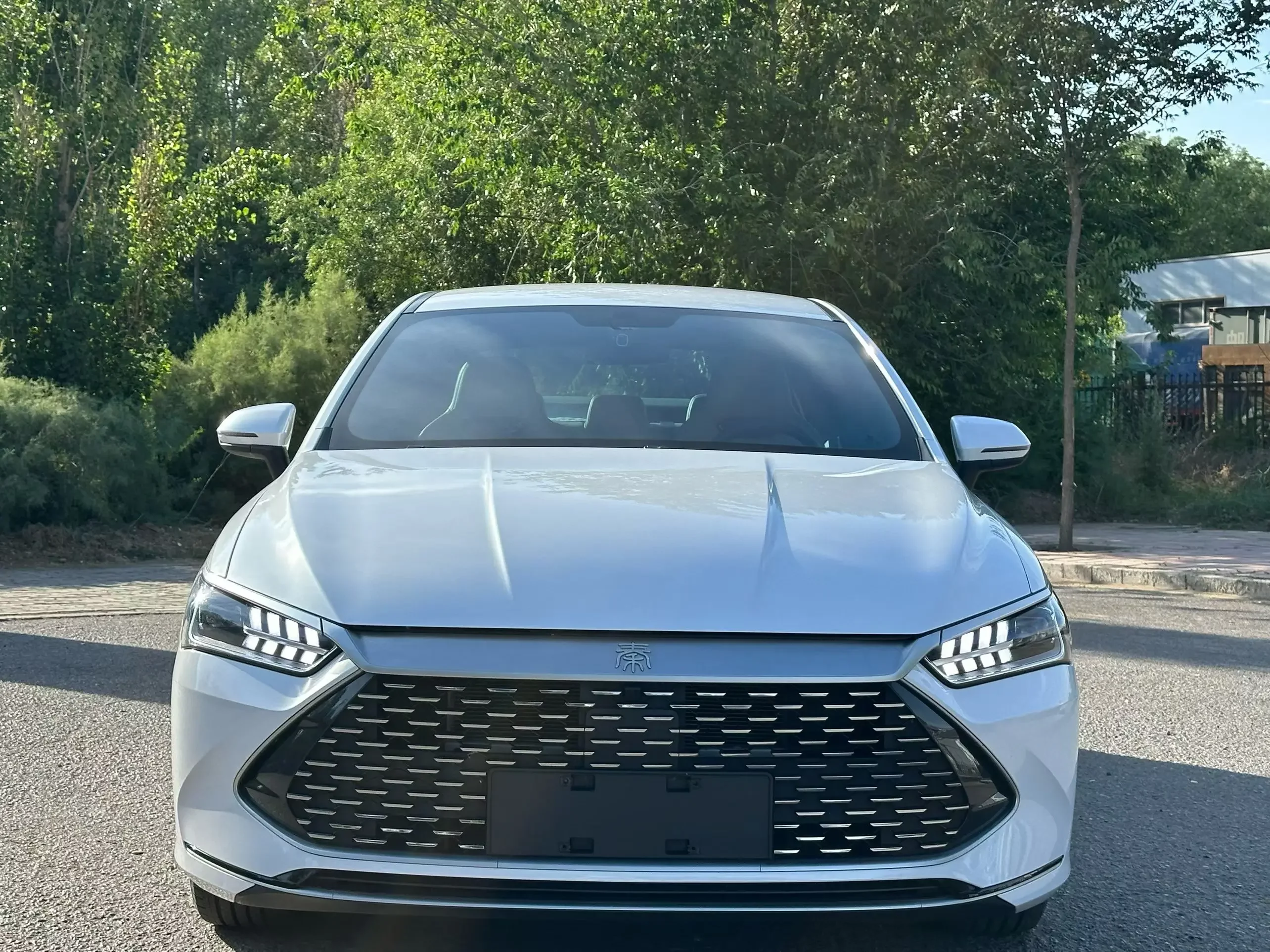 BYD Qin PLUS DM